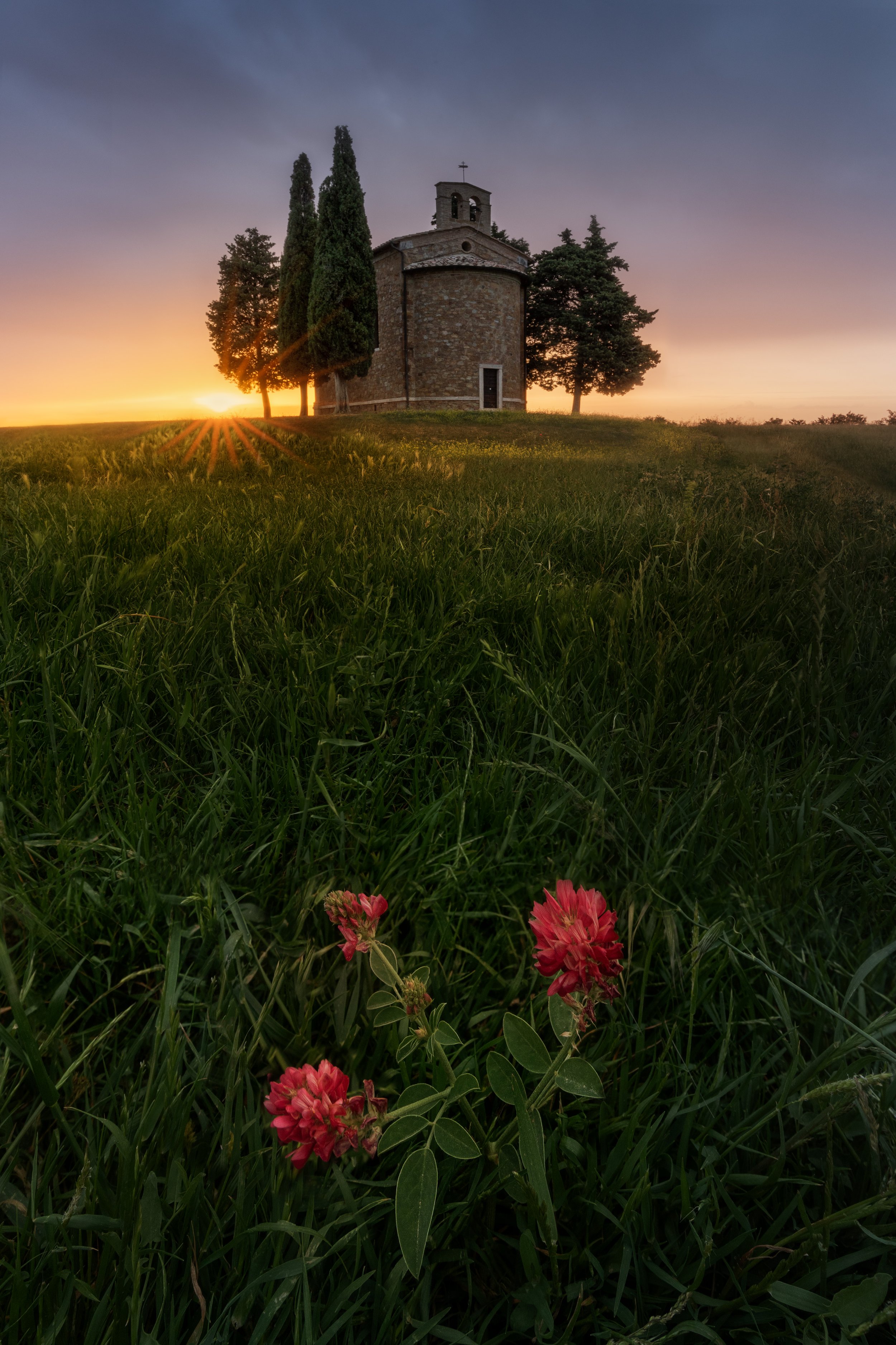Sunset behind a small stone church with three tall trees nearby, lush green grass in the foreground with pink flowers.