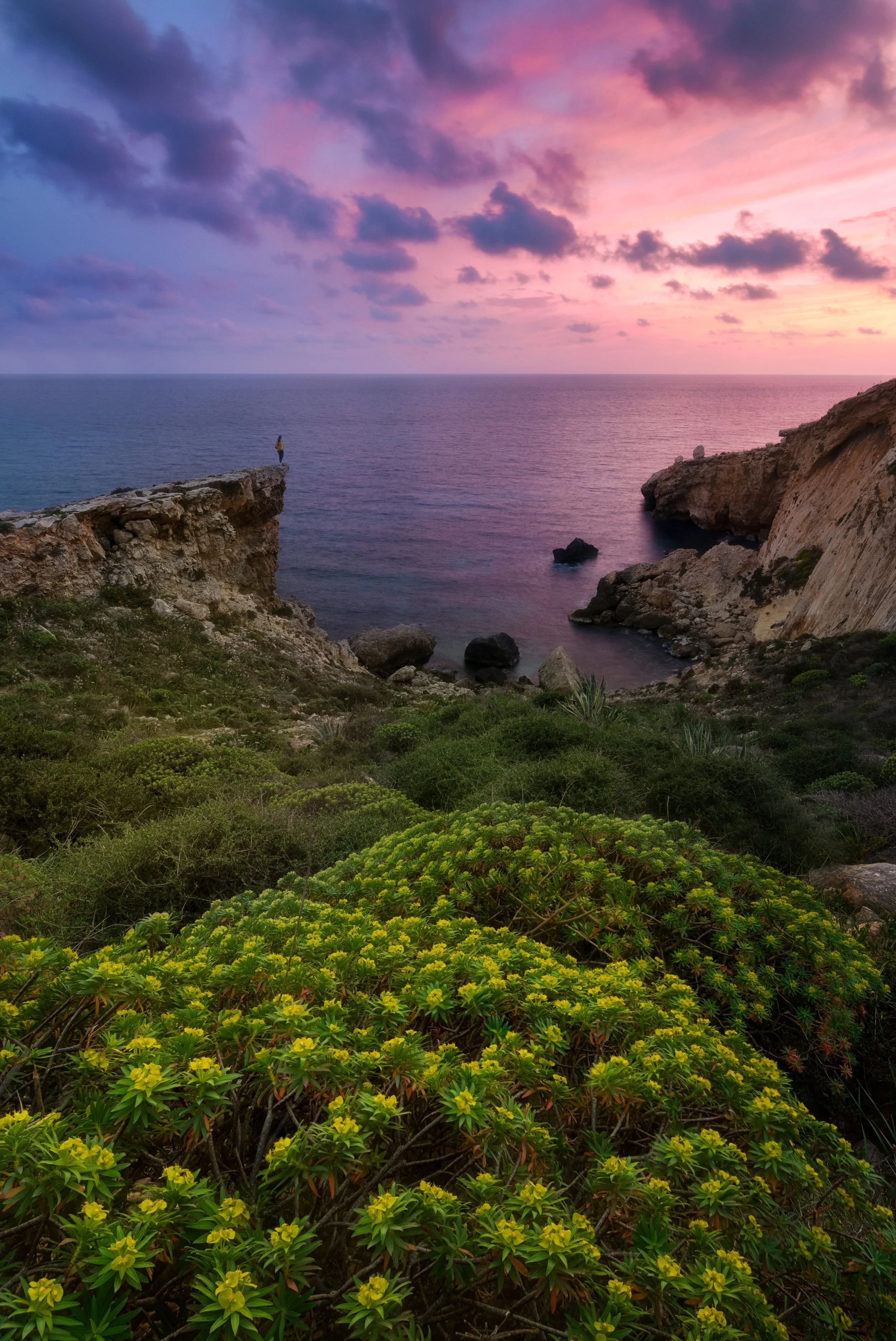 A coastal cliff with greenery and shrubs, overlooking the ocean at sunset with pink and purple clouds.