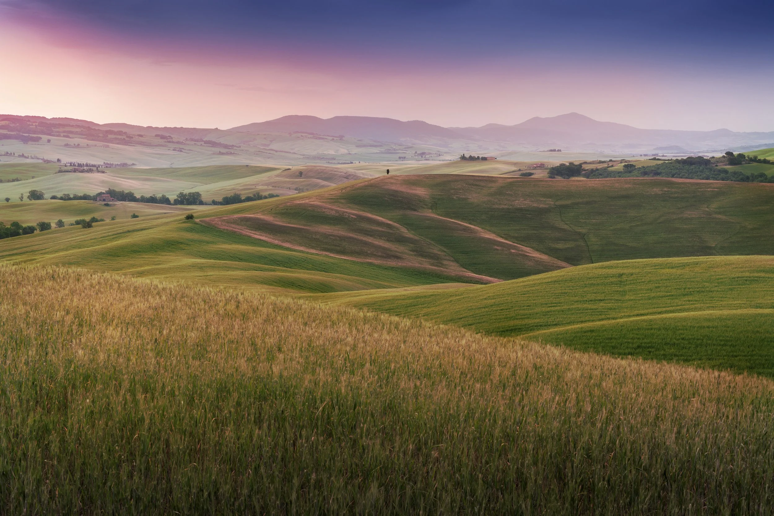 Scenic view of rolling green hills and fields at sunset or sunrise, with a purple and pink sky and distant mountains.