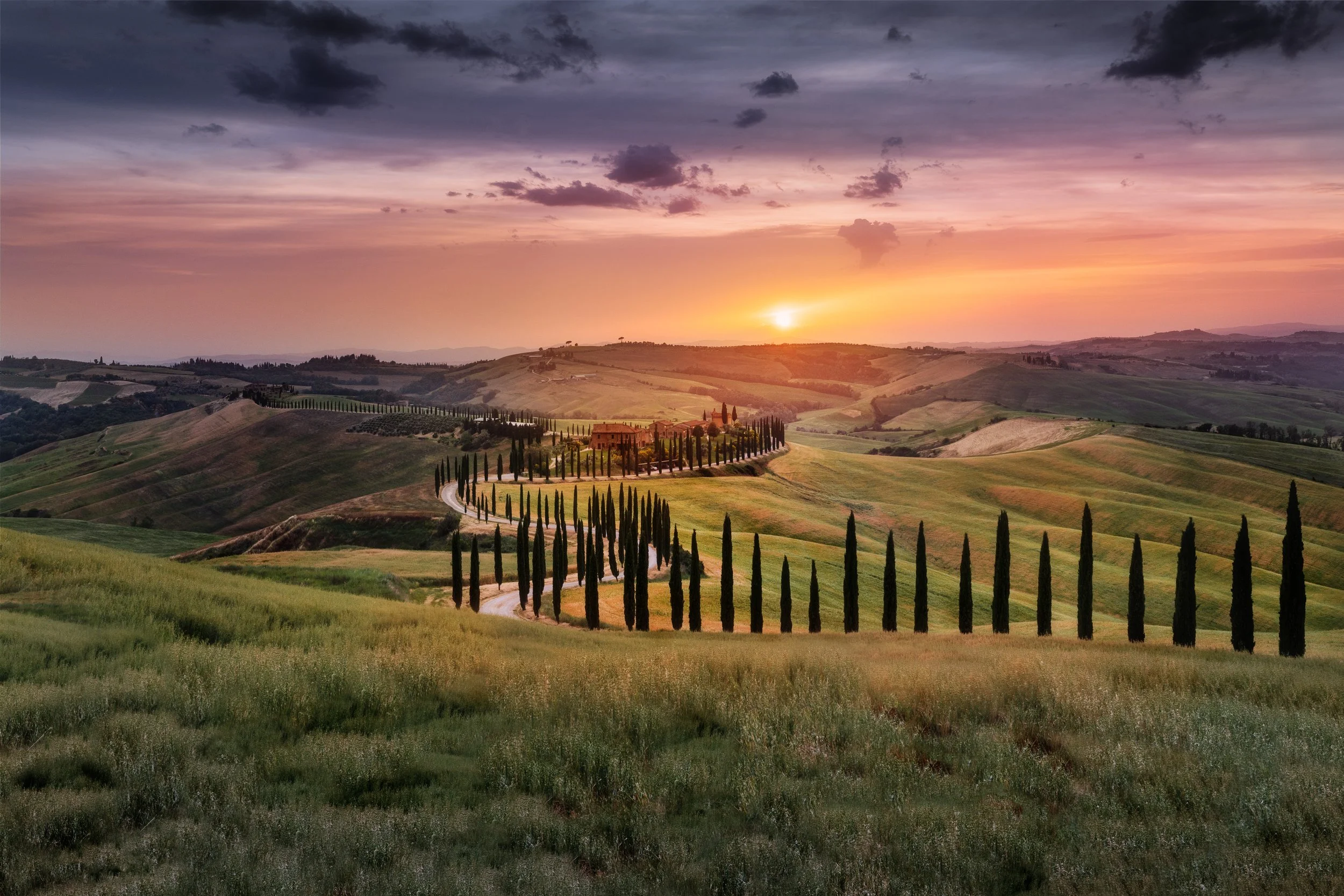 Sunset over rolling hills with a winding road lined by tall cypress trees in the countryside, Tuscany, Italy.