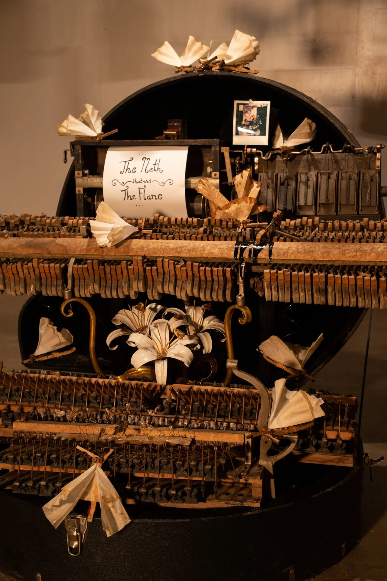 "The Moth that Was the Flame"
(Found object assemblage)