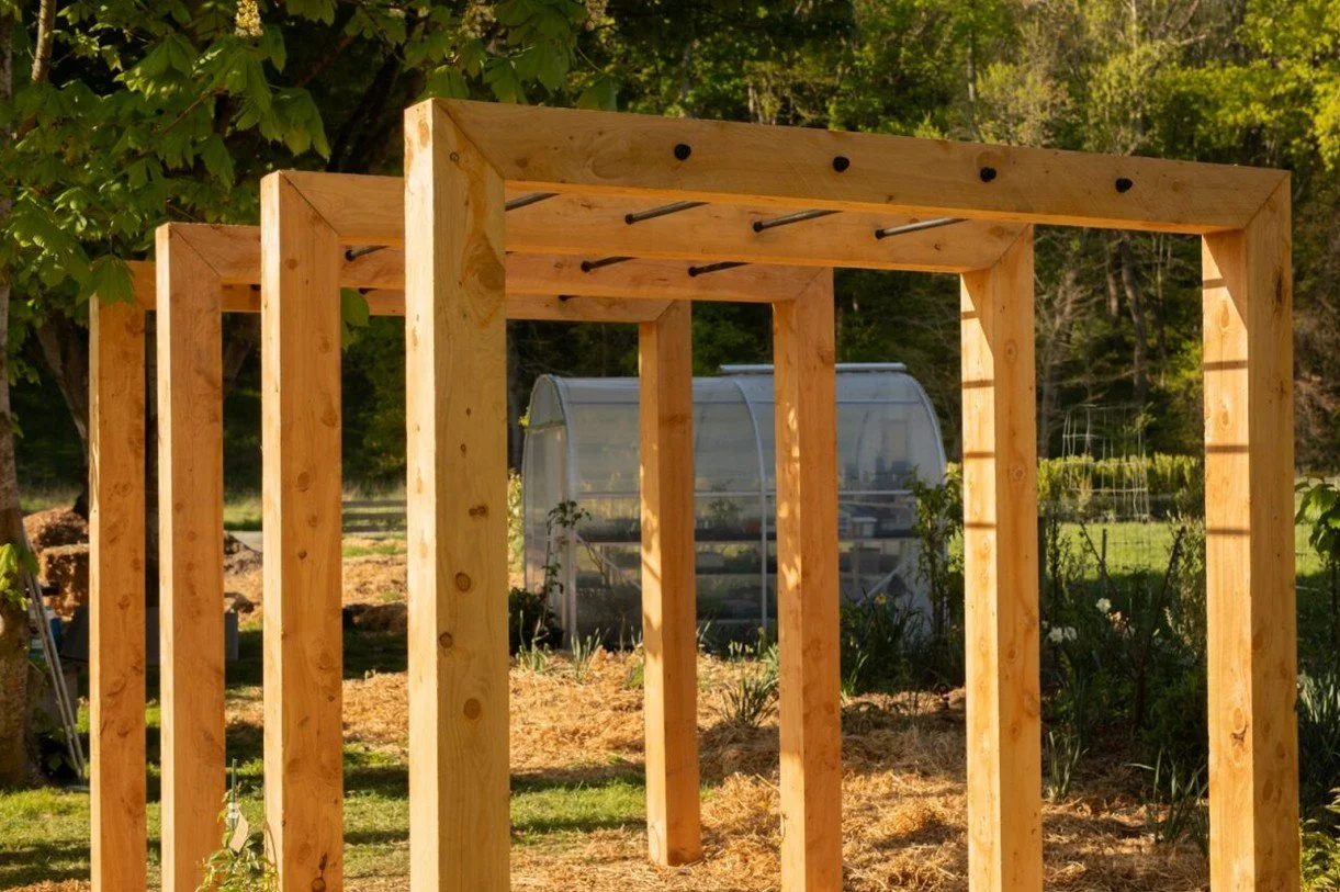 new pagola project by contour construction-3.jpg