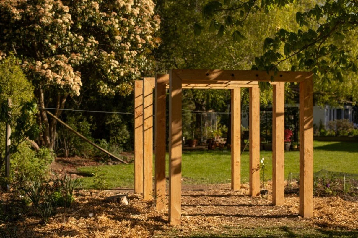 new pagola project by contour construction-2.jpg