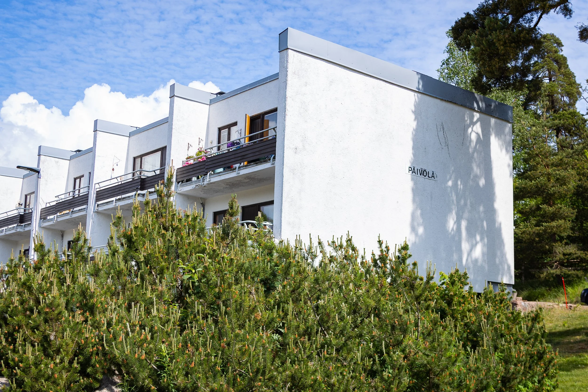 Sara Ahdepelto - 20240607-9173.jpg