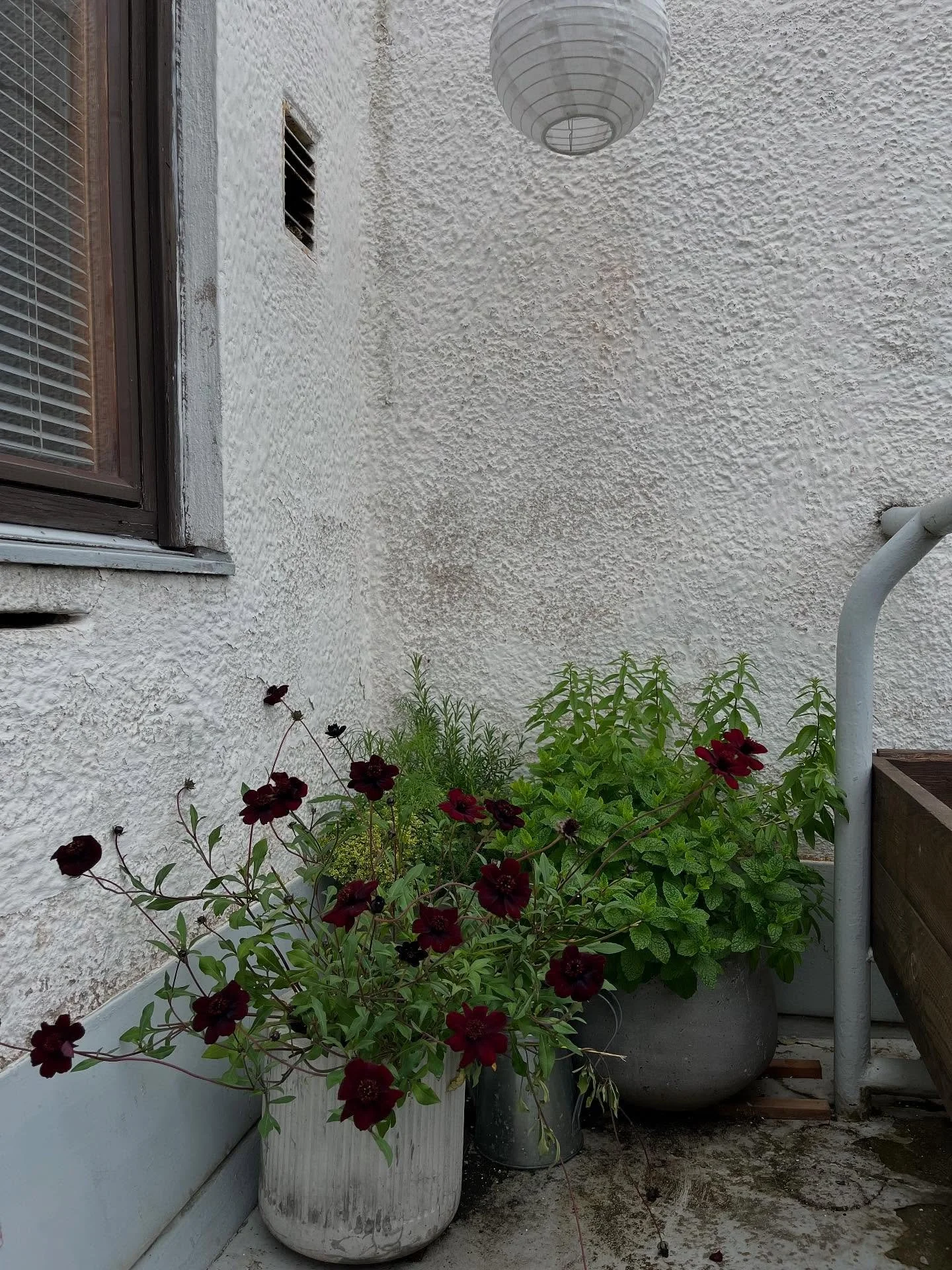 Kes&auml; ja Sunilan luonto kauneimmillaan -vaikka kelit eiv&auml;t ole t&auml;ysin suosineetkaan. Vieraat ovat kuitenkin nauttineet Sunilan ainutlaatuisuudesta ja rauhasta -paljon kiitos majoittumisesta meill&auml;!💚
#sunilanaaltokodit #visitkotkah