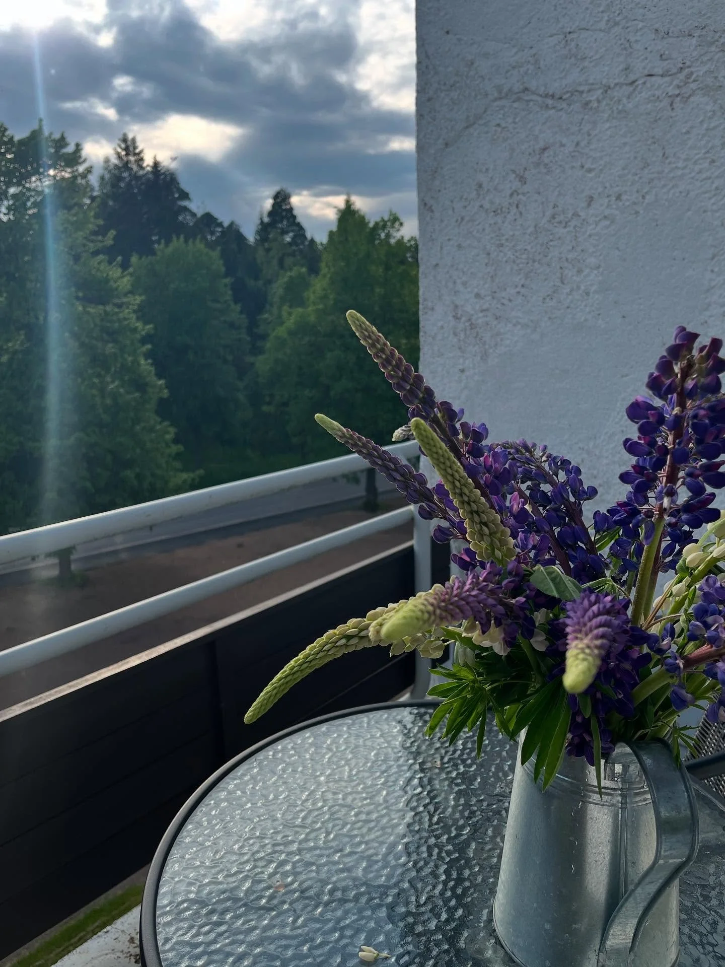 Sunilassa on hauskat, yll&auml;tykselliset ja kukkivat lenkkeilymaastot. P&auml;iv&auml;n hyv&auml;n ty&ouml;nkin sai tehty&auml; siin&auml; sivussa. #sunilanaaltokodit #visitalvaraalto #ainoaalto #visitkotkahamina