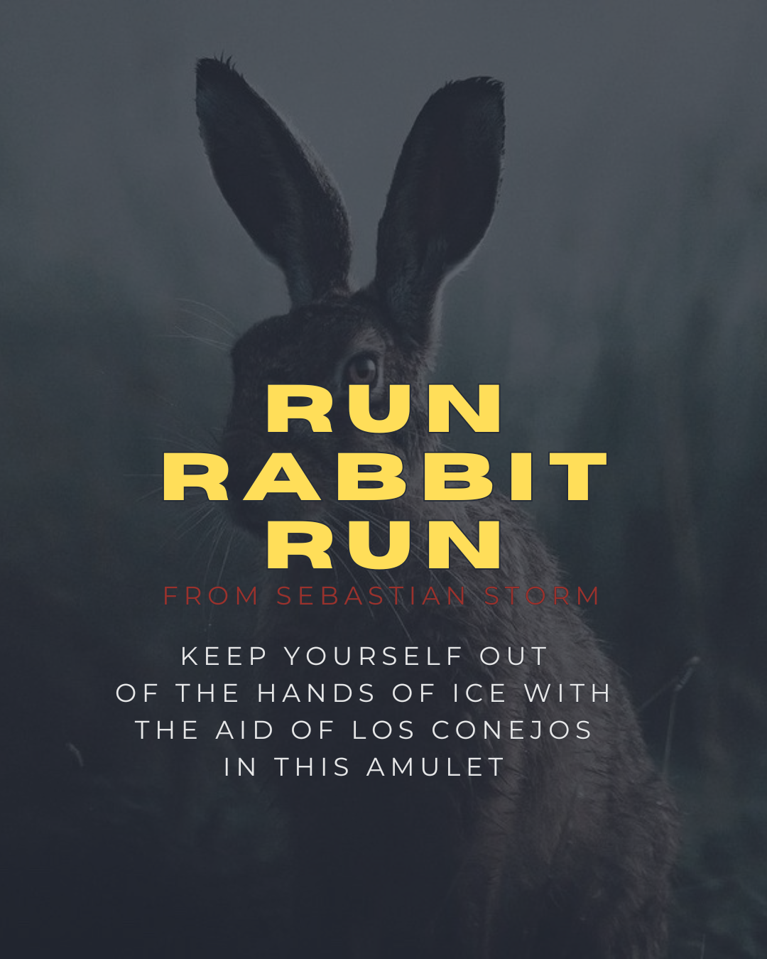 Run Rabbit Run