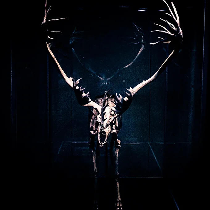 Luck & Victory Fetish