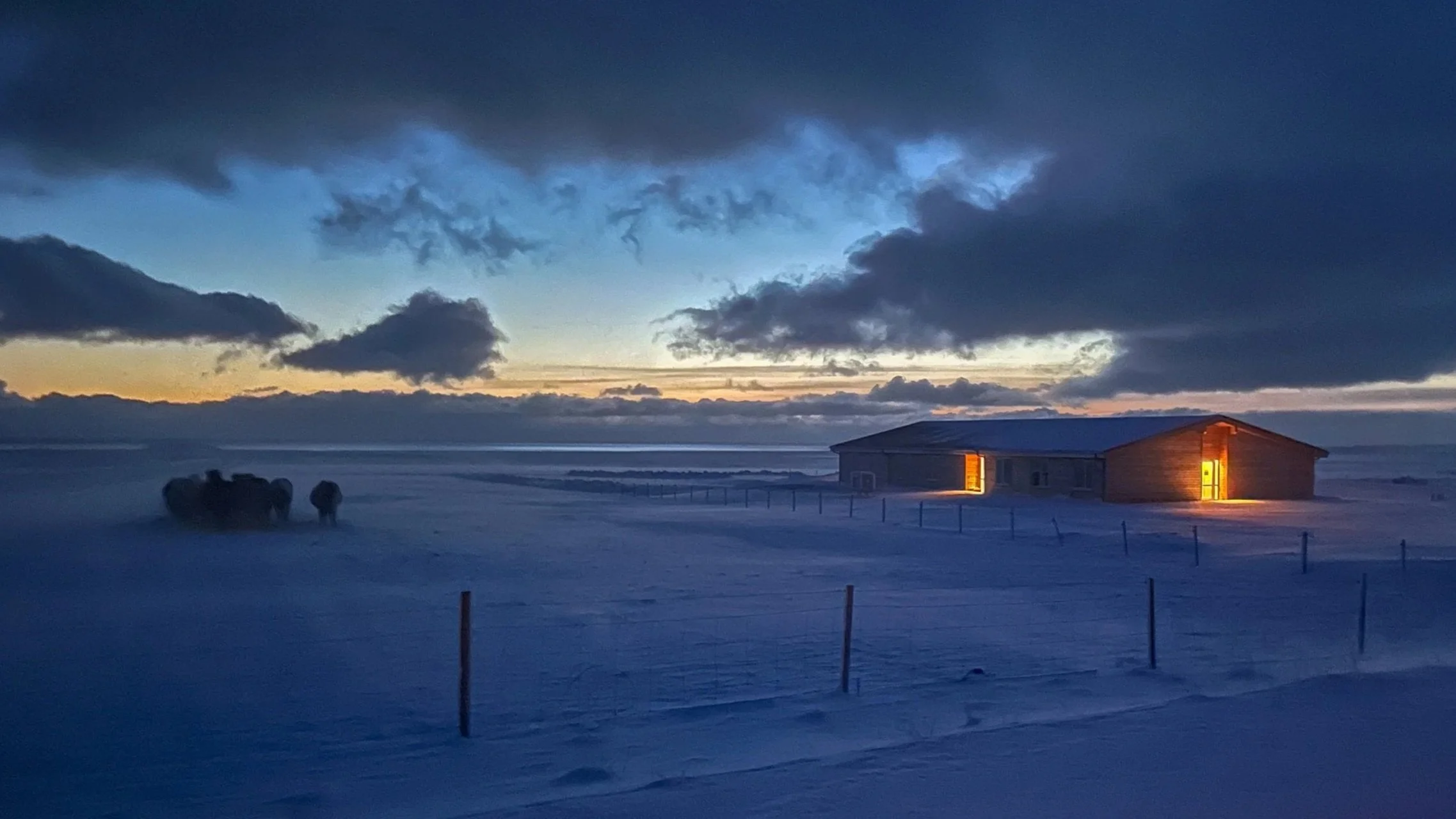 Lýsuhóll family-run horse farm