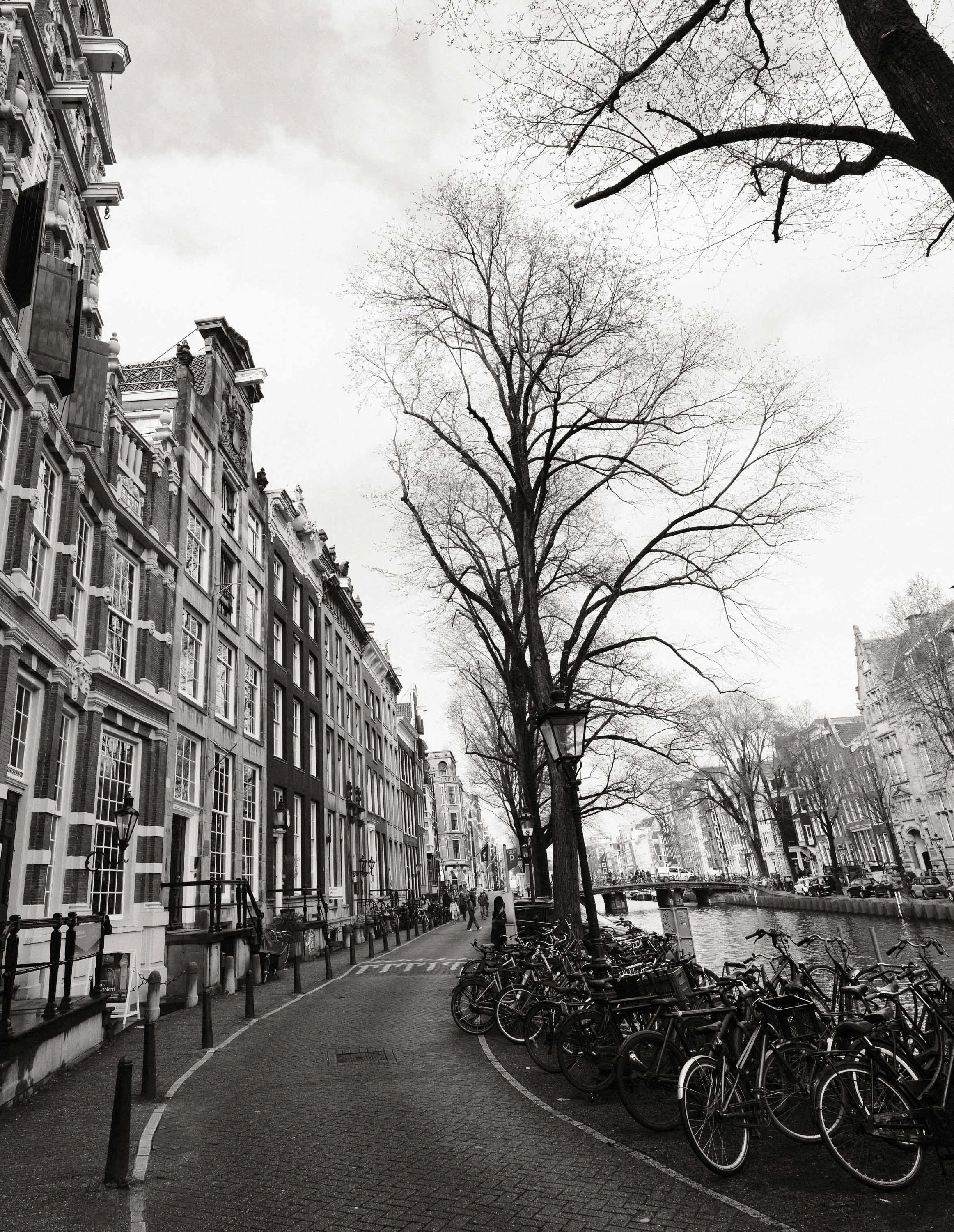Amsterdam_Spring2026-16.jpg