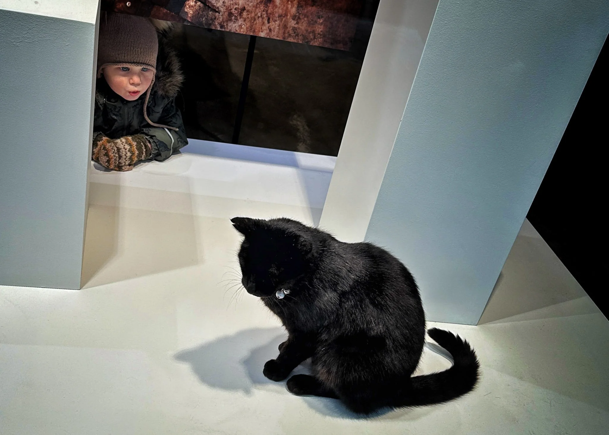 Window shopping - Reykjavik