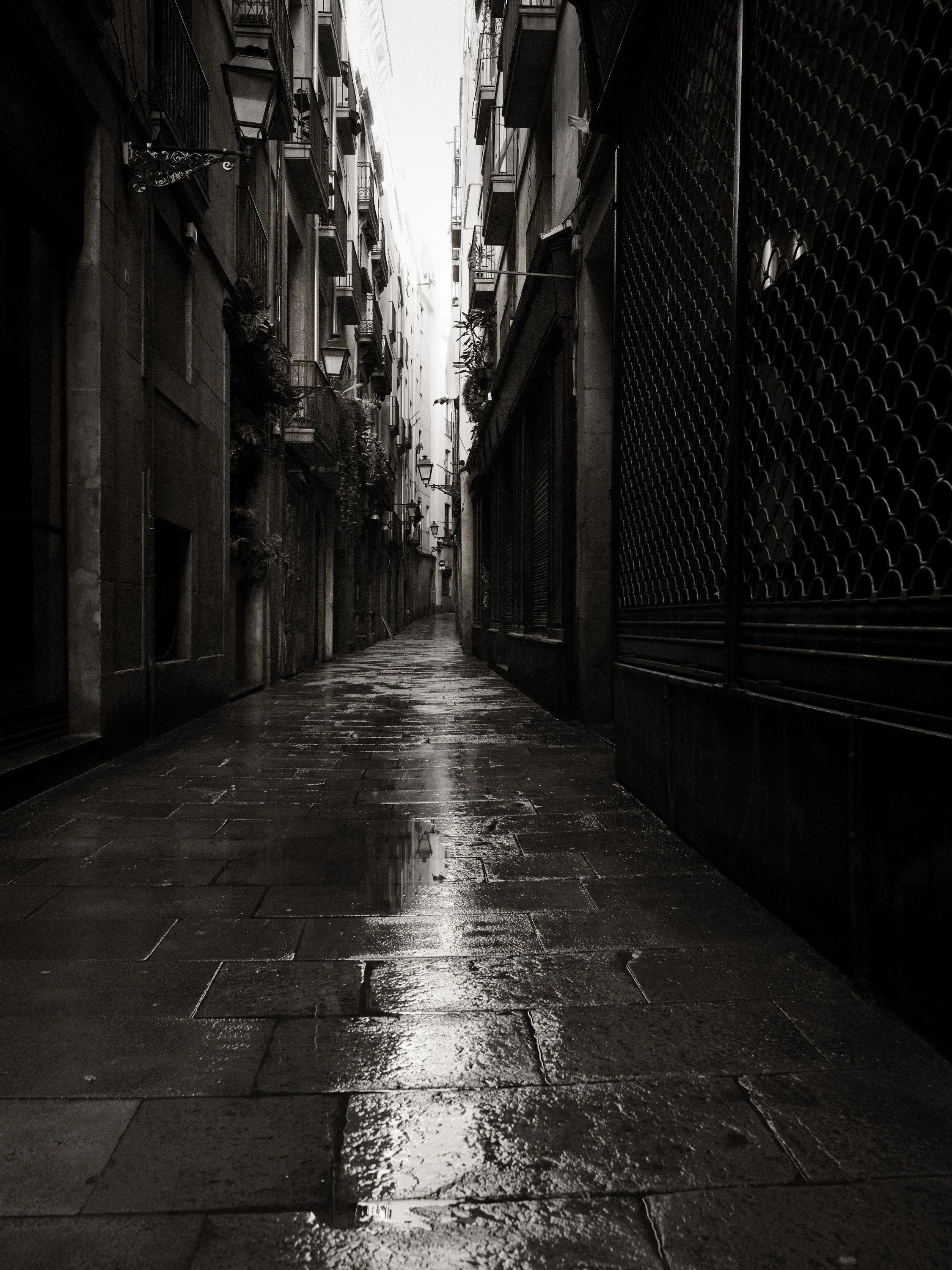 Barcelona_Spring2026-4.jpg