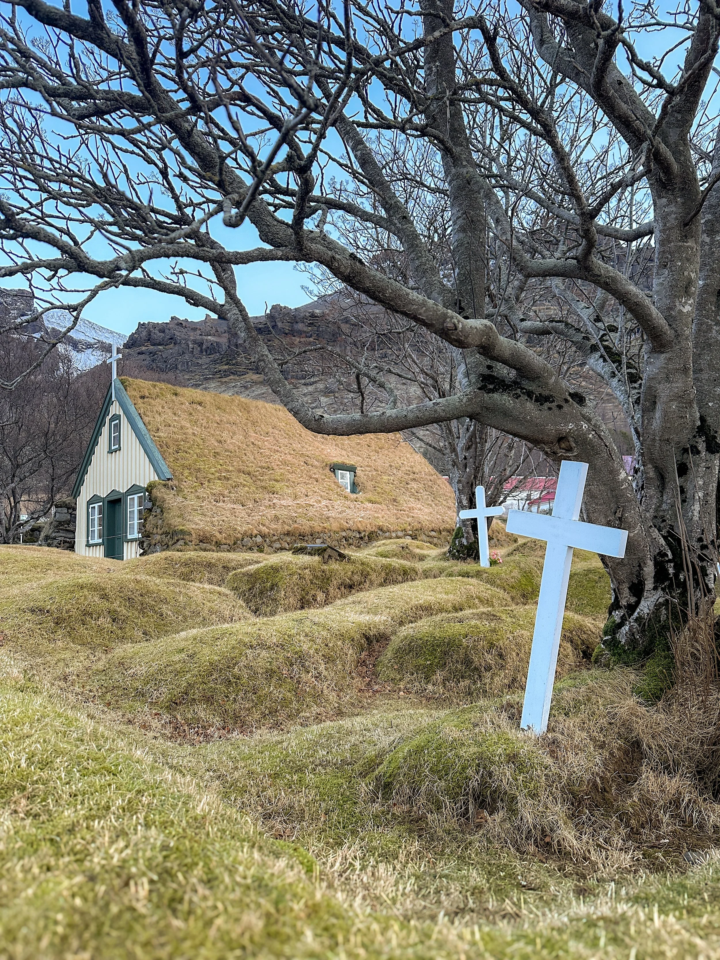 Hofskirkja Cemetery