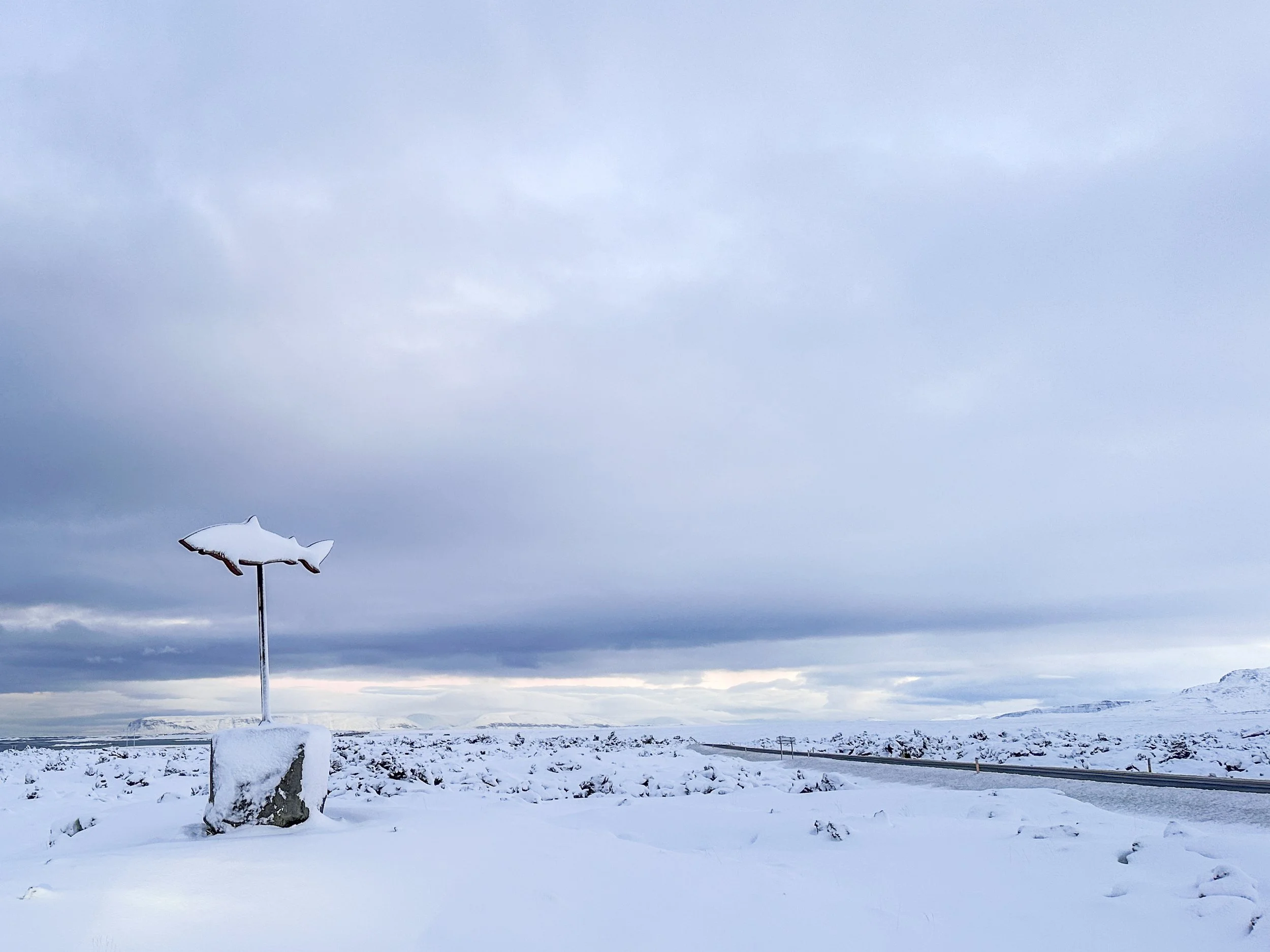 Grundarfjörður - Shark Museum