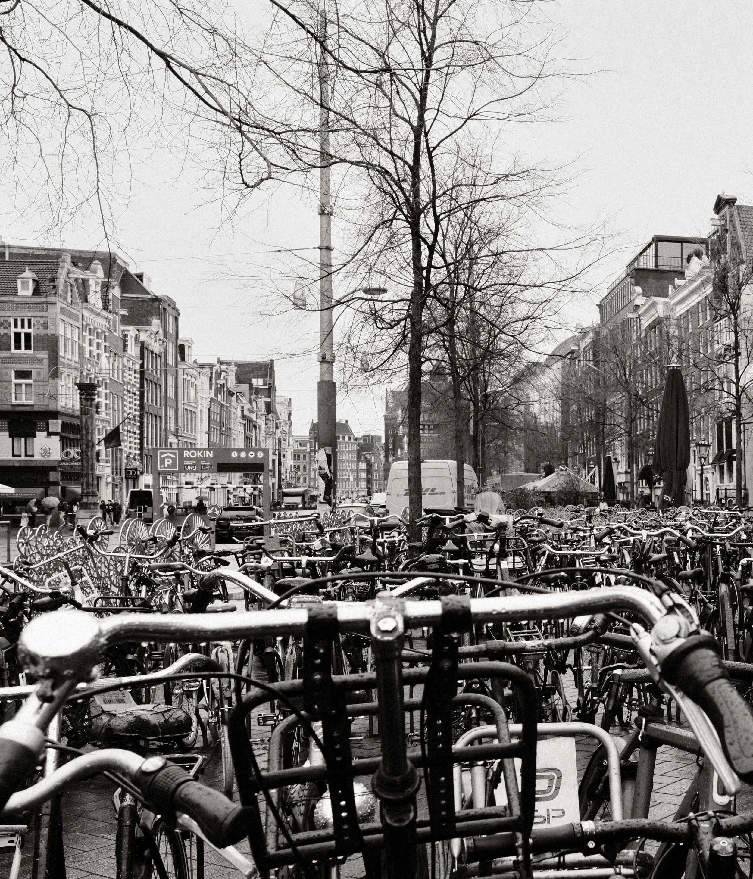 Amsterdam_Spring2026-18.jpg