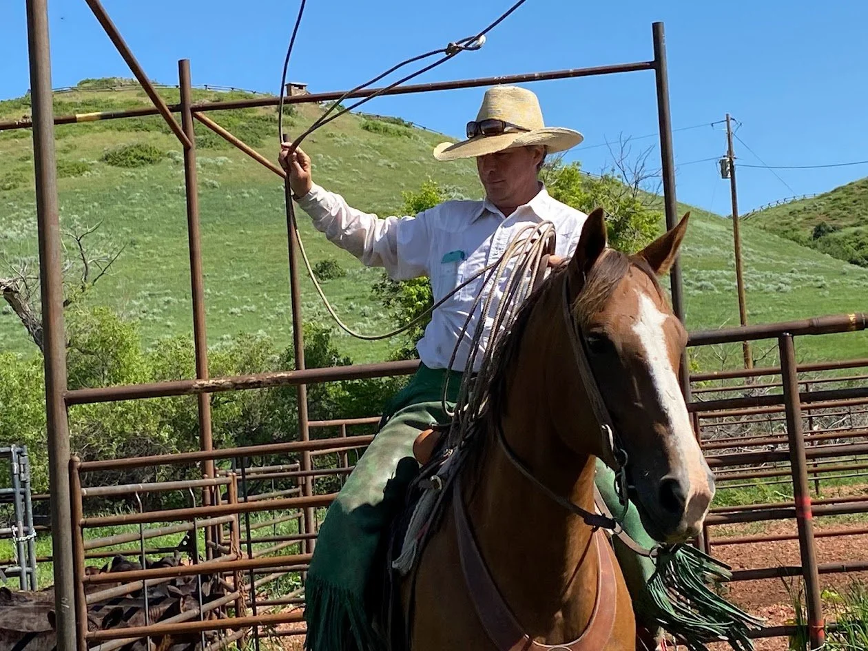 Person wearing a wide-brimmed hat and sunglasses riding a brown horse on a ranch with green hills and a clear blue sky in the background.