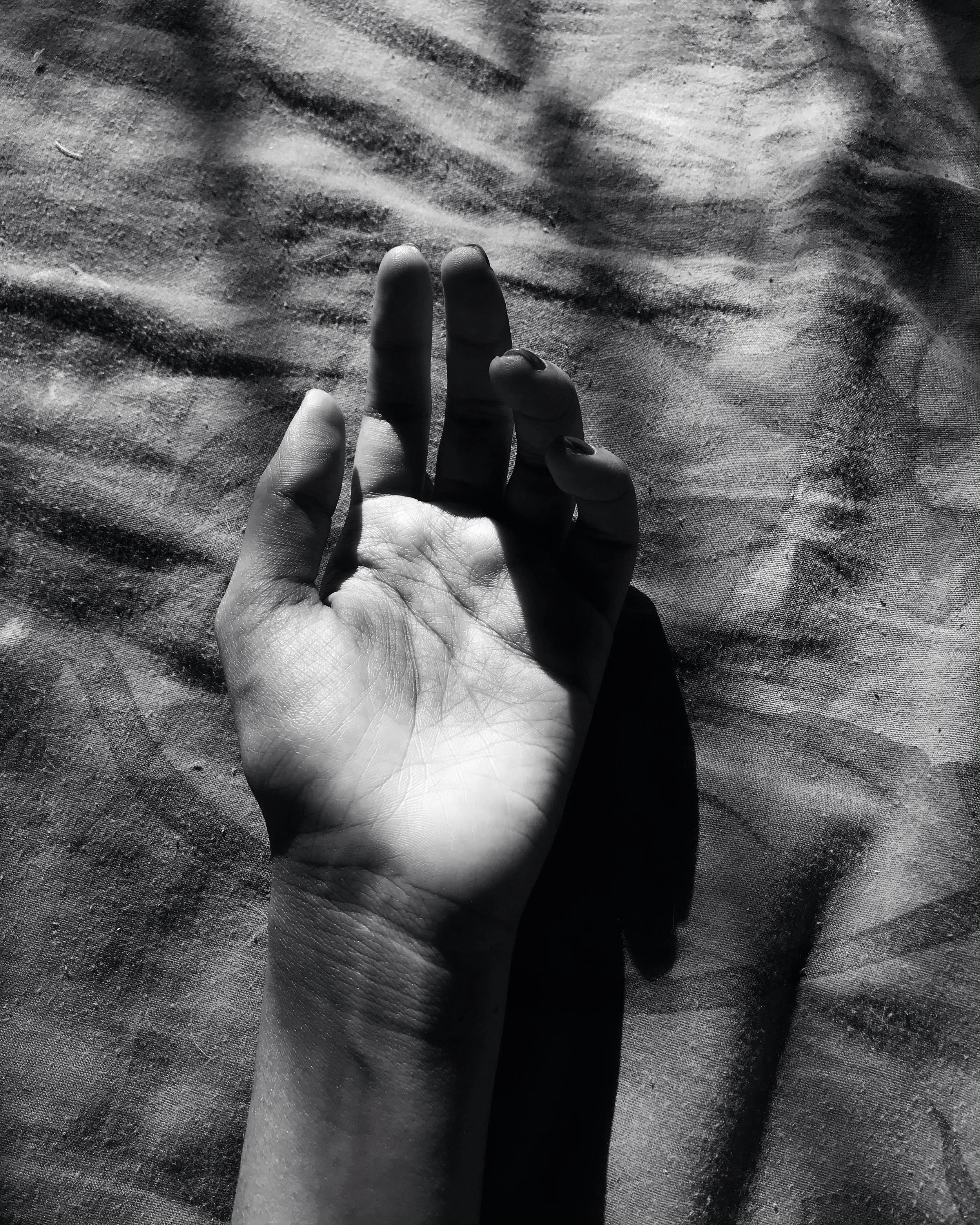 Palm Reading Session (Virtual)