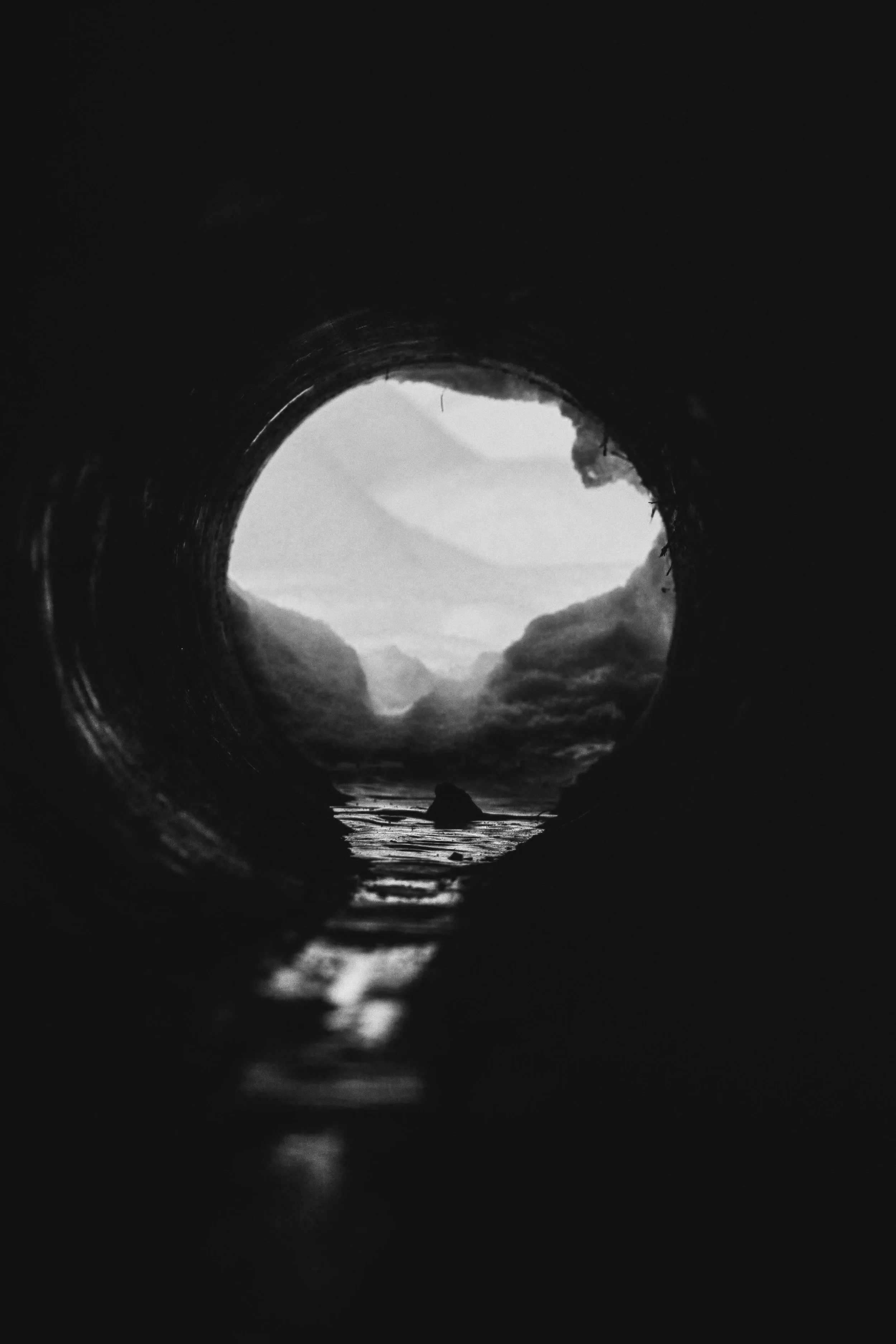 The Depth Portal — Private Mentorship Series