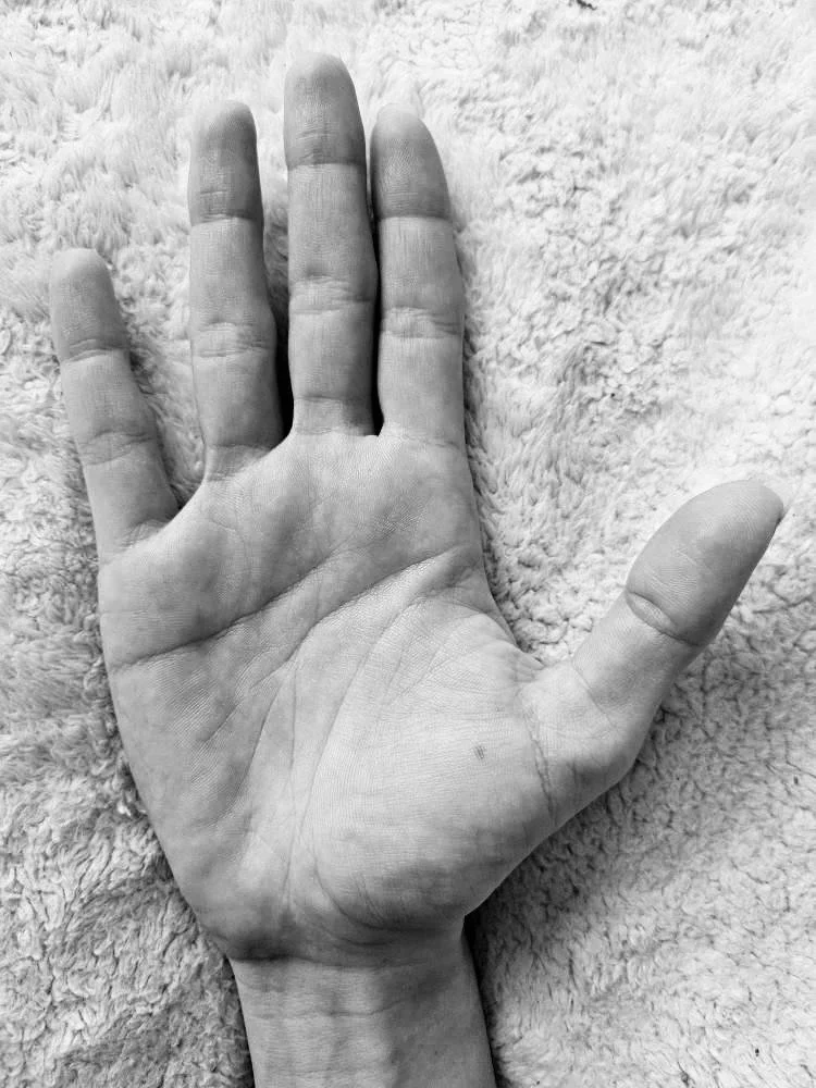 Palm Reading Session (Virtual)