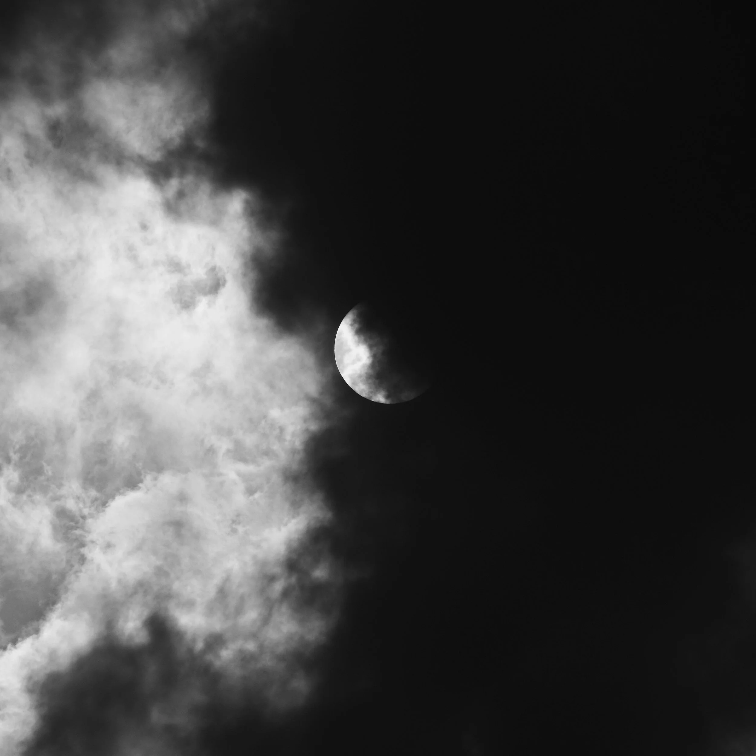 eagan-hsu-QTPgUqu4k2Q-unsplash.jpg
