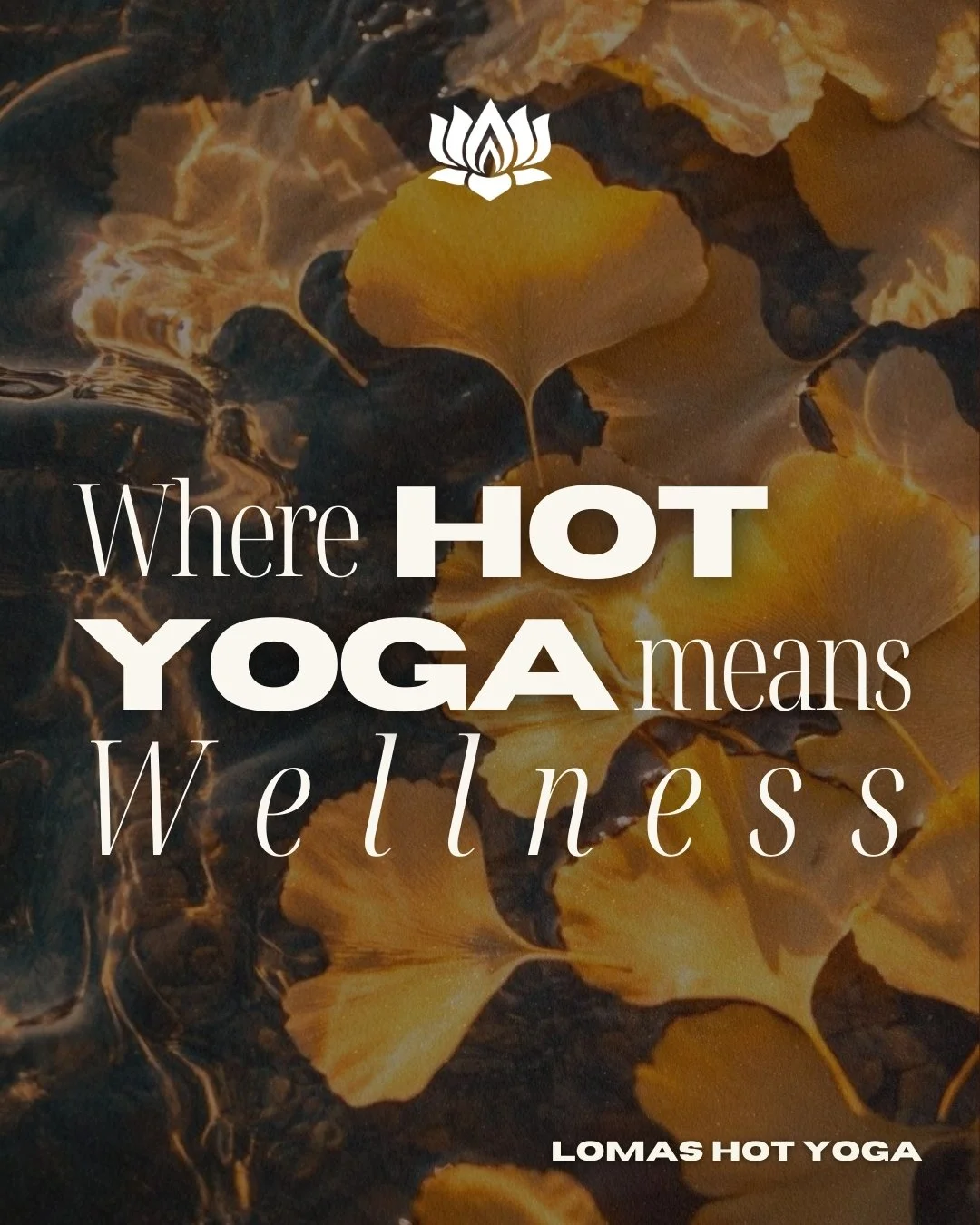 El verdadero wellness fluye de adentro hacia afuera. 💫 La magia no est&aacute; en la sala, &iexcl;est&aacute; en ti! Con cada clase, cada gota de sudor y cada postura que dominas, desbloqueas bienestar y una confianza inquebrantable. Si&eacute;ntete