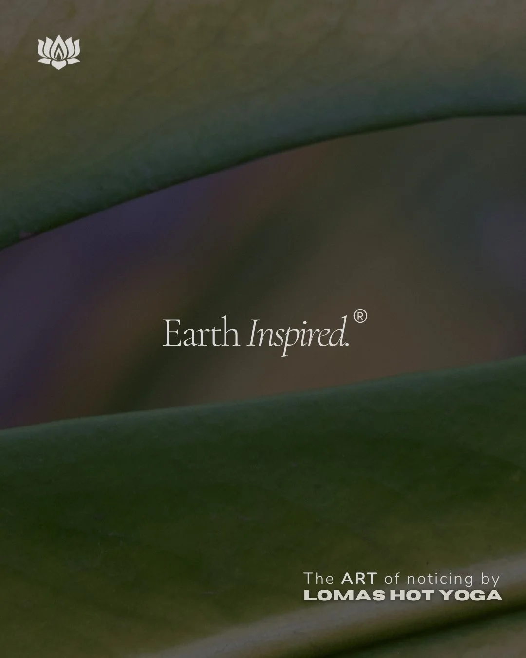 Siente el calor. Respira la vida. Con&eacute;ctate con la Tierra. ✨ En nuestro Hot Room, cada postura es un recordatorio de la energ&iacute;a vital que fluye en ti y en el planeta. #HotYoga #Conexi&oacute;nTierra #Bienestar

Feel the heat. Breathe  l