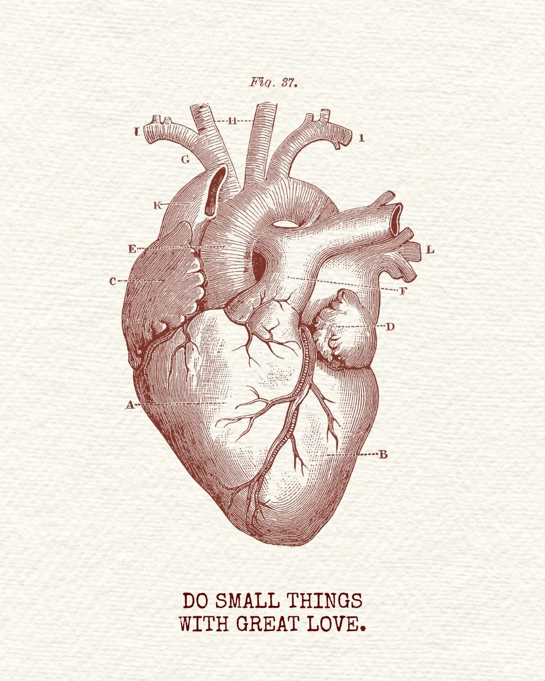 Cada pose, cada respiraci&oacute;n... ✨ peque&ntilde;as cosas en tu d&iacute;a con todo el coraz&oacute;n. ❤️
#YogaConAmor #Pr&aacute;cticaConsciente #HotYogaLife

Every pose, every breath... ✨ Do small things in your day with all your heart. ❤️
#Yog