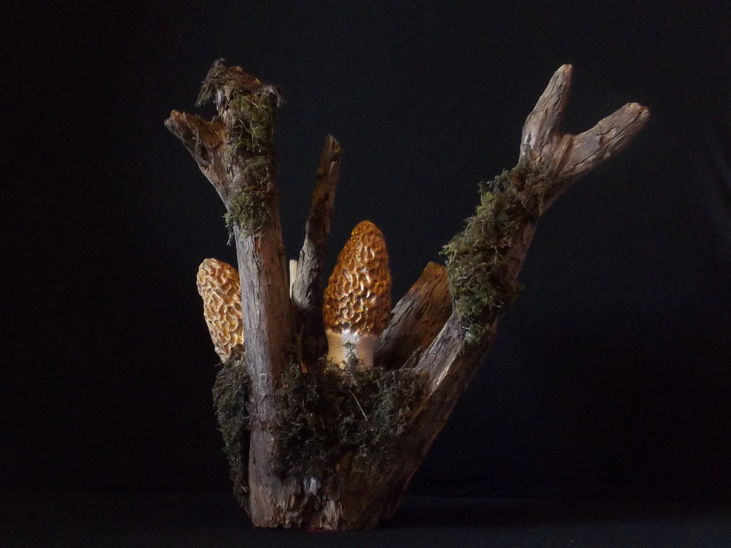 Rustic Morel Mushroom Themed Mantle or Table Centerpiece