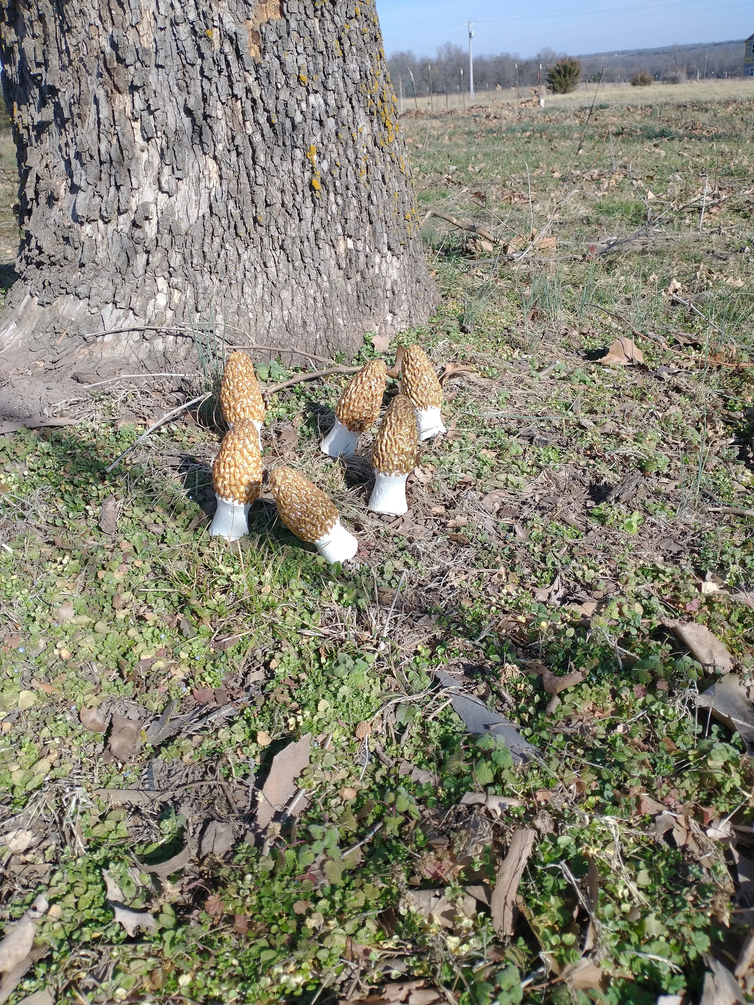 Life Size Concrete Outdoor Morel Mushroom