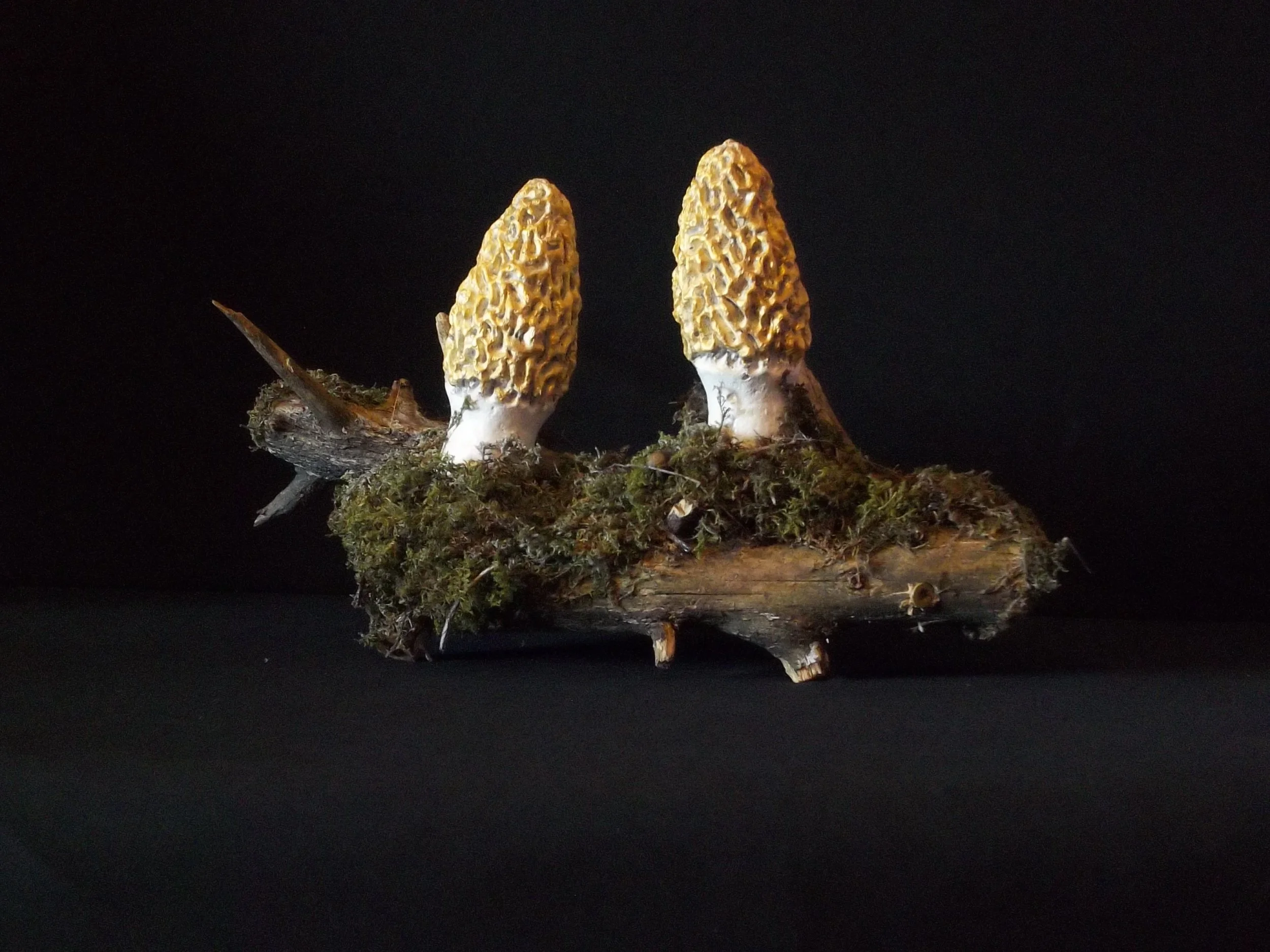 Rustic Morel Mushroom Themed Mantle or Table Centerpiece