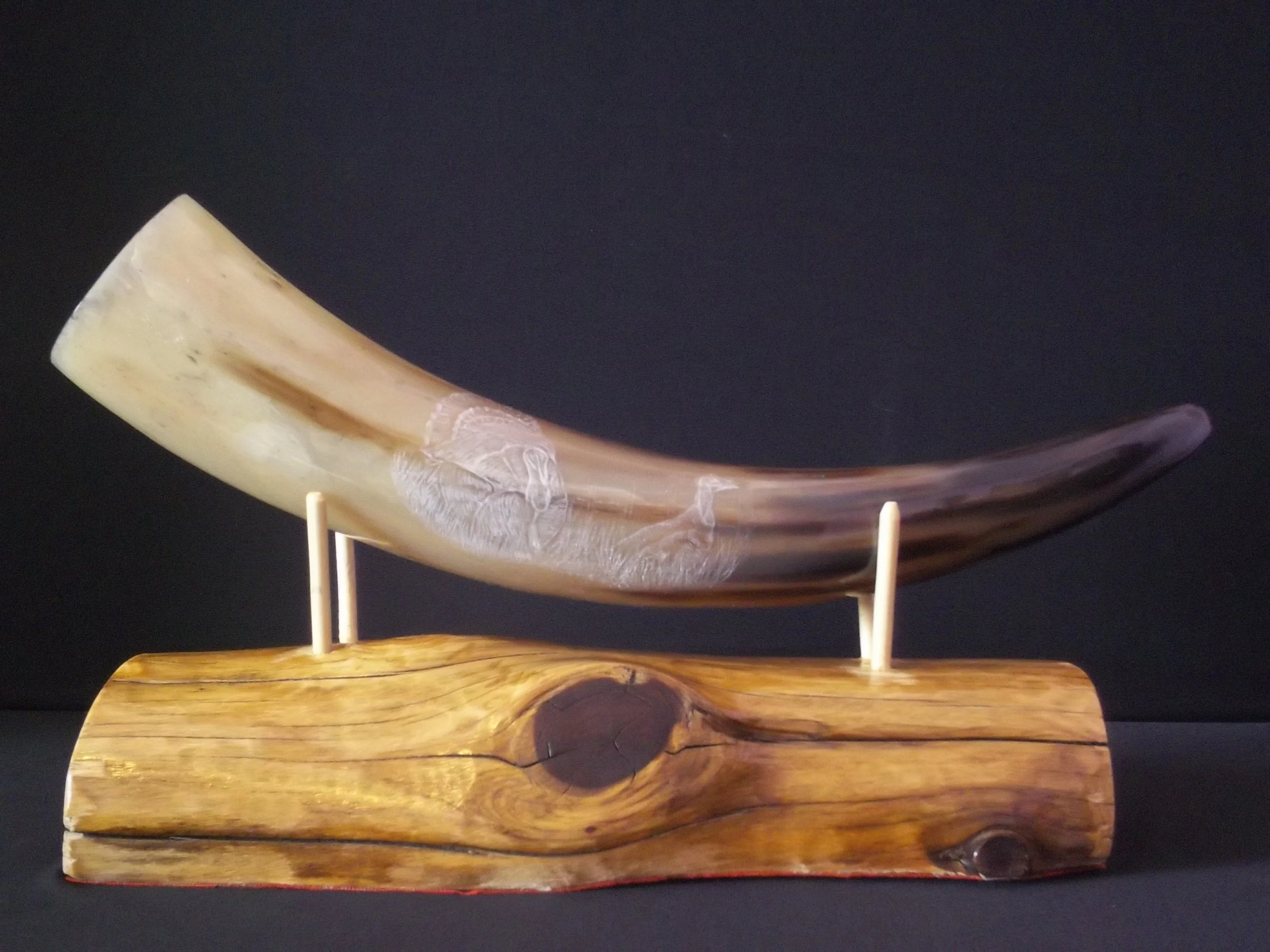 Scrimshaw Bullhorn Spring Wild Turkey Strutting With A Hen