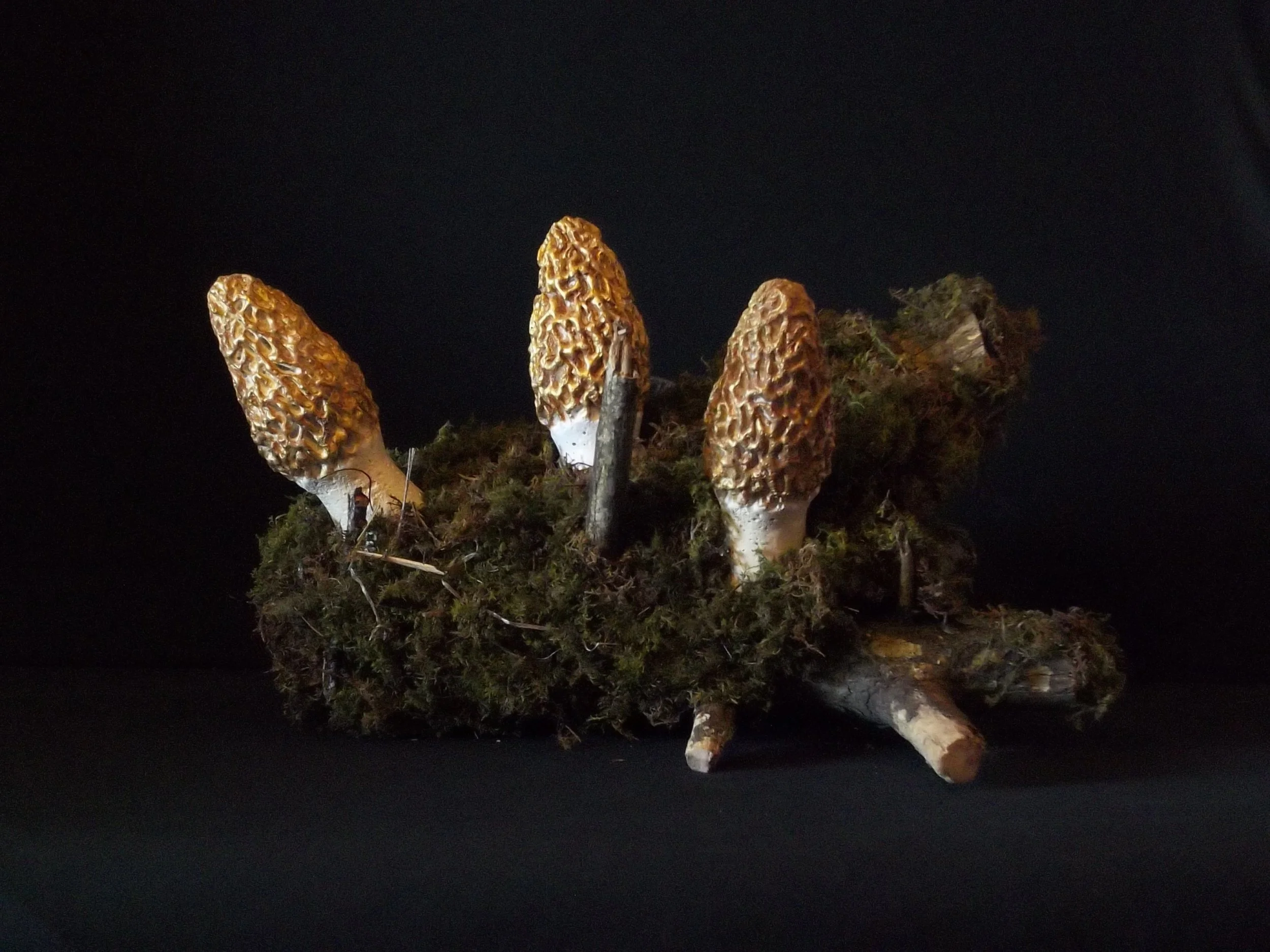 Rustic Morel Mushroom Themed Mantle or Table Centerpiece