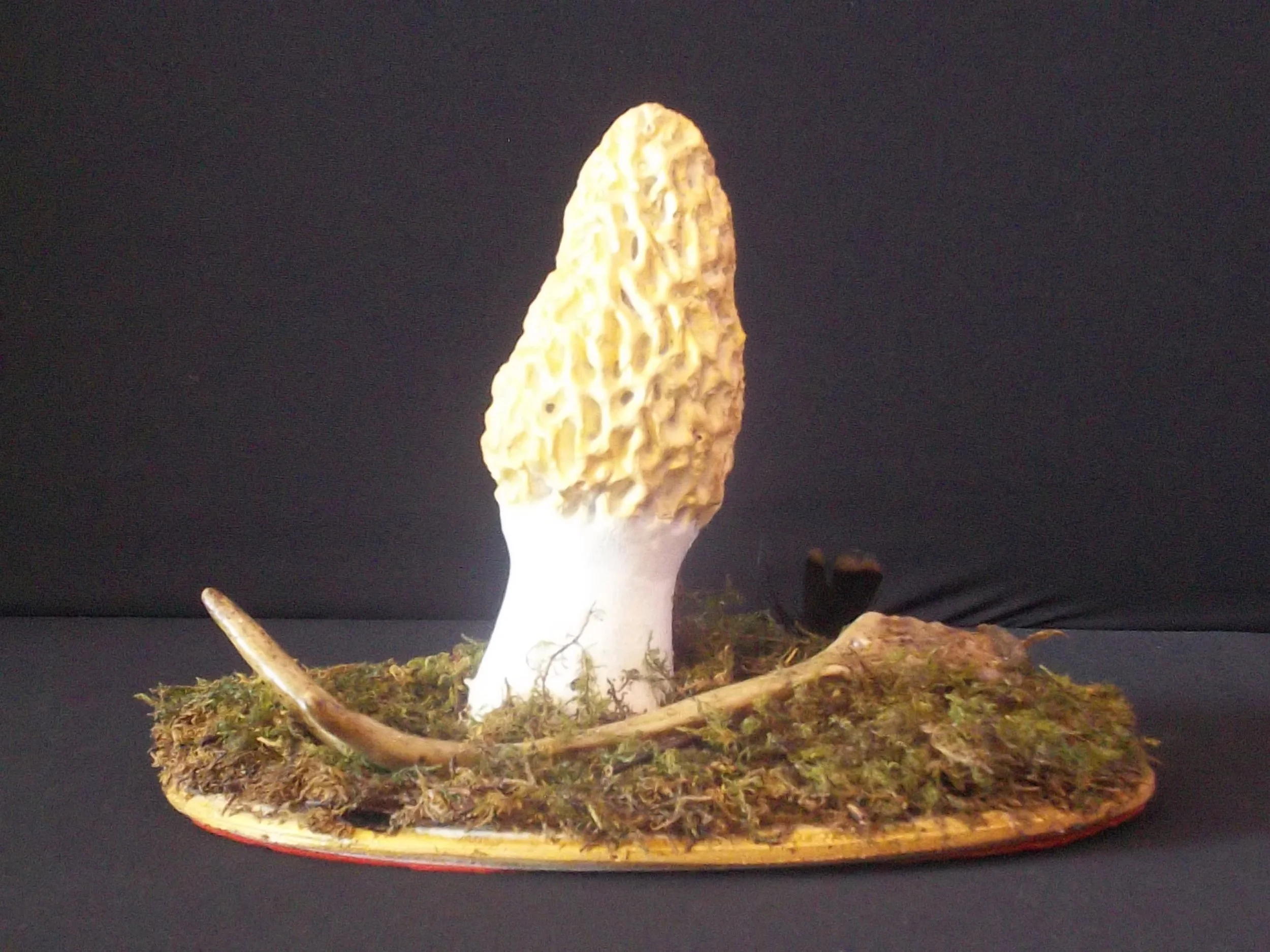 Rustic Morel Mushroom/Antler Themed Mantle or Table Piece