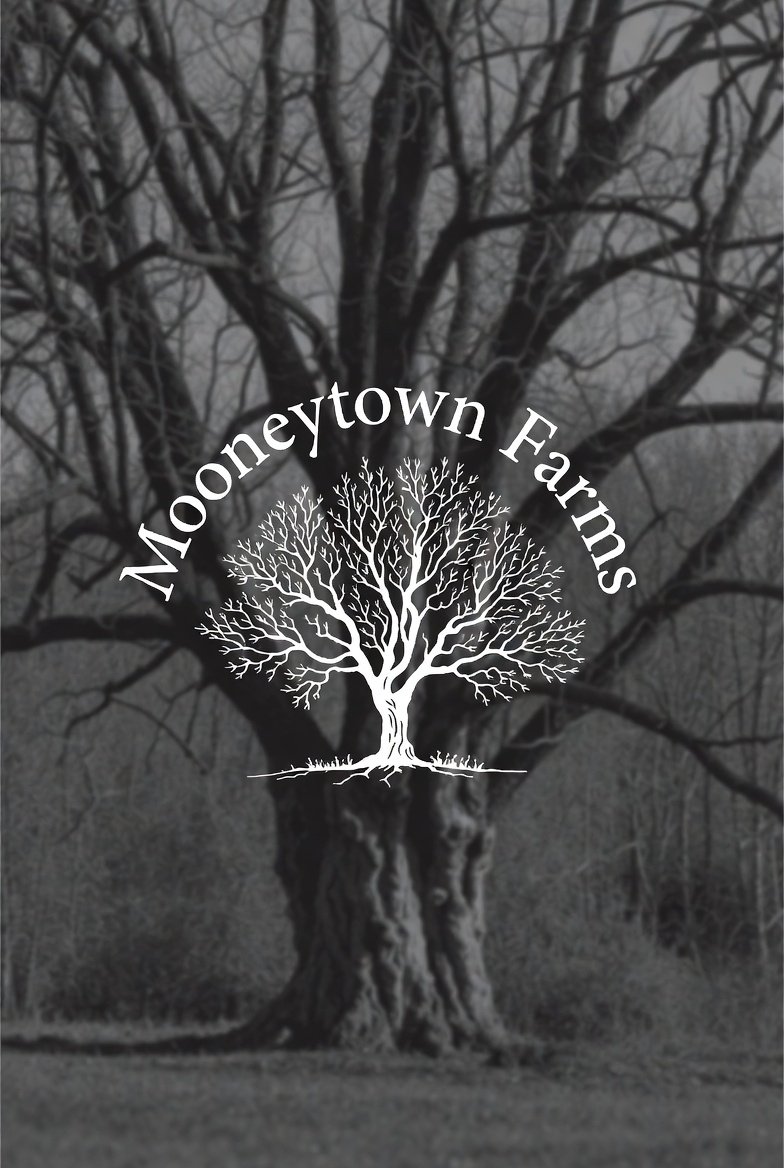 Black and white image of a large, leafless tree with a graphic white tree and the text 'Mooneytown Farms' arched above it.