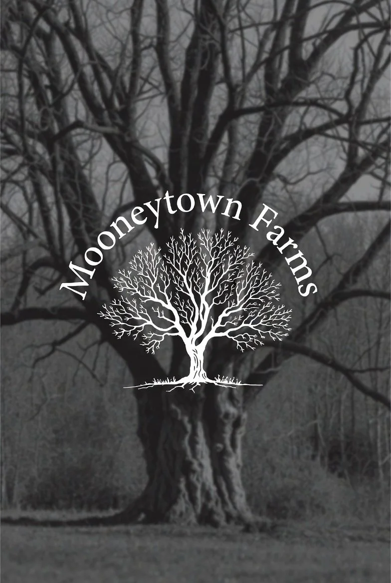 Logo for Mooneytown Farms superimposed over a black-and-white photo of a large, leafless tree with thick branches.