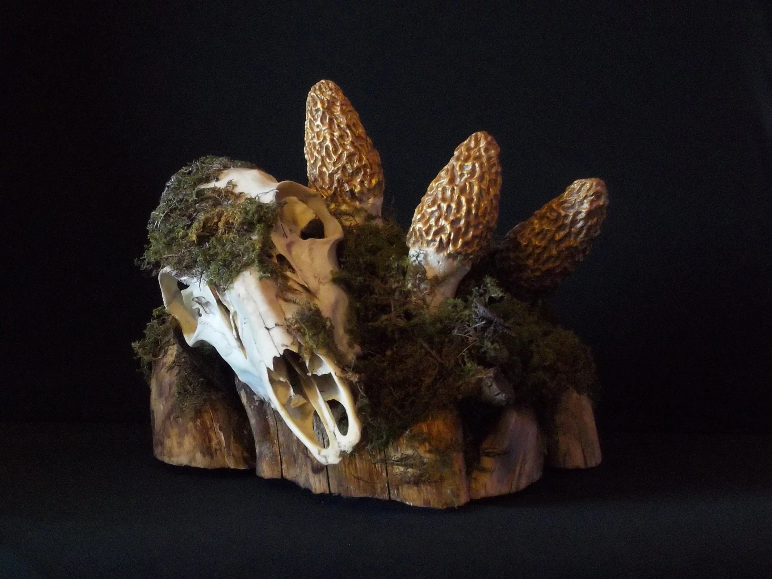 Rustic Morel Mushroom Themed Mantle or Table Centerpiece