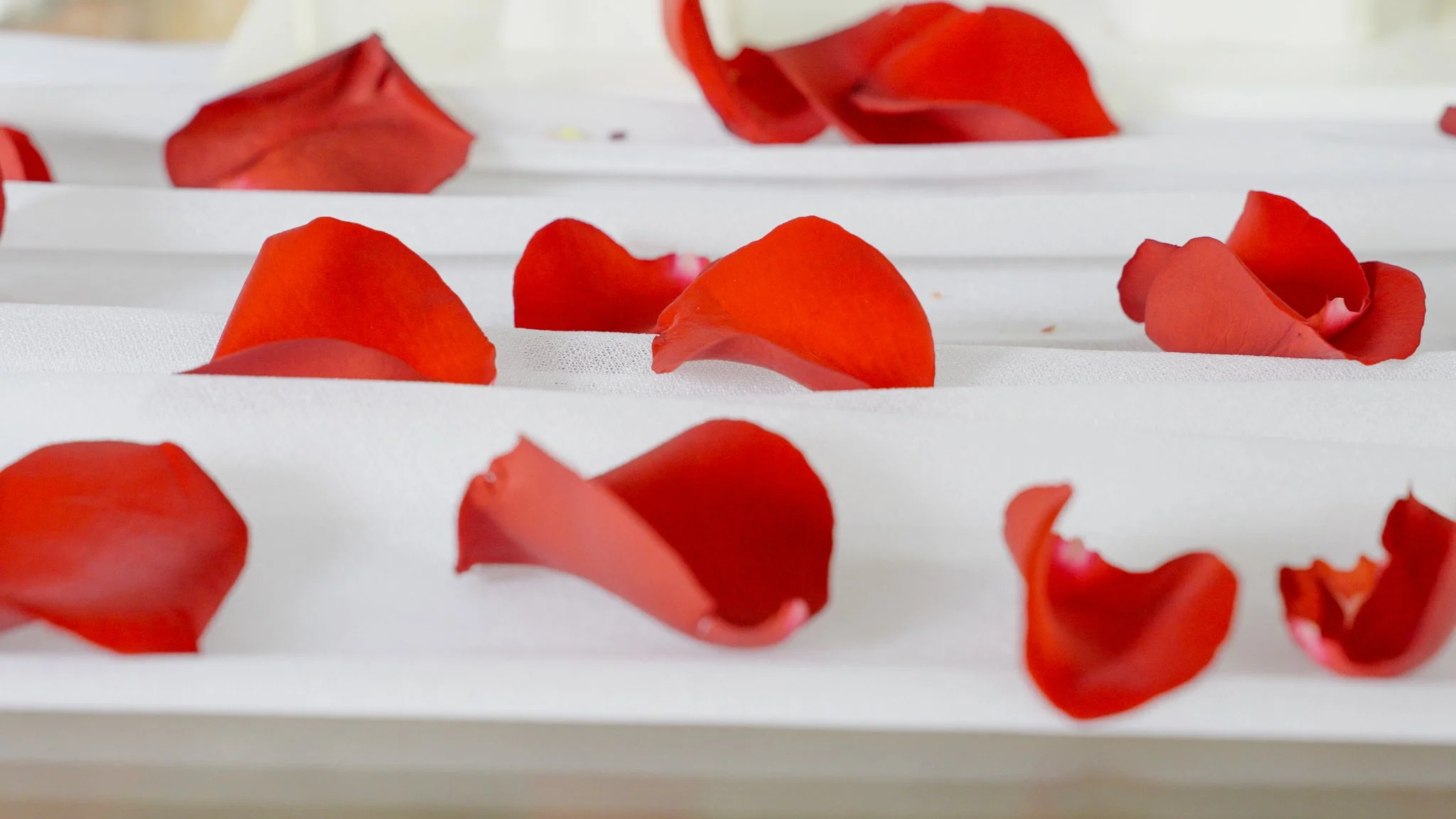 Sequence 01.00_21_58_38.Still070_fullres_2048px.jpg