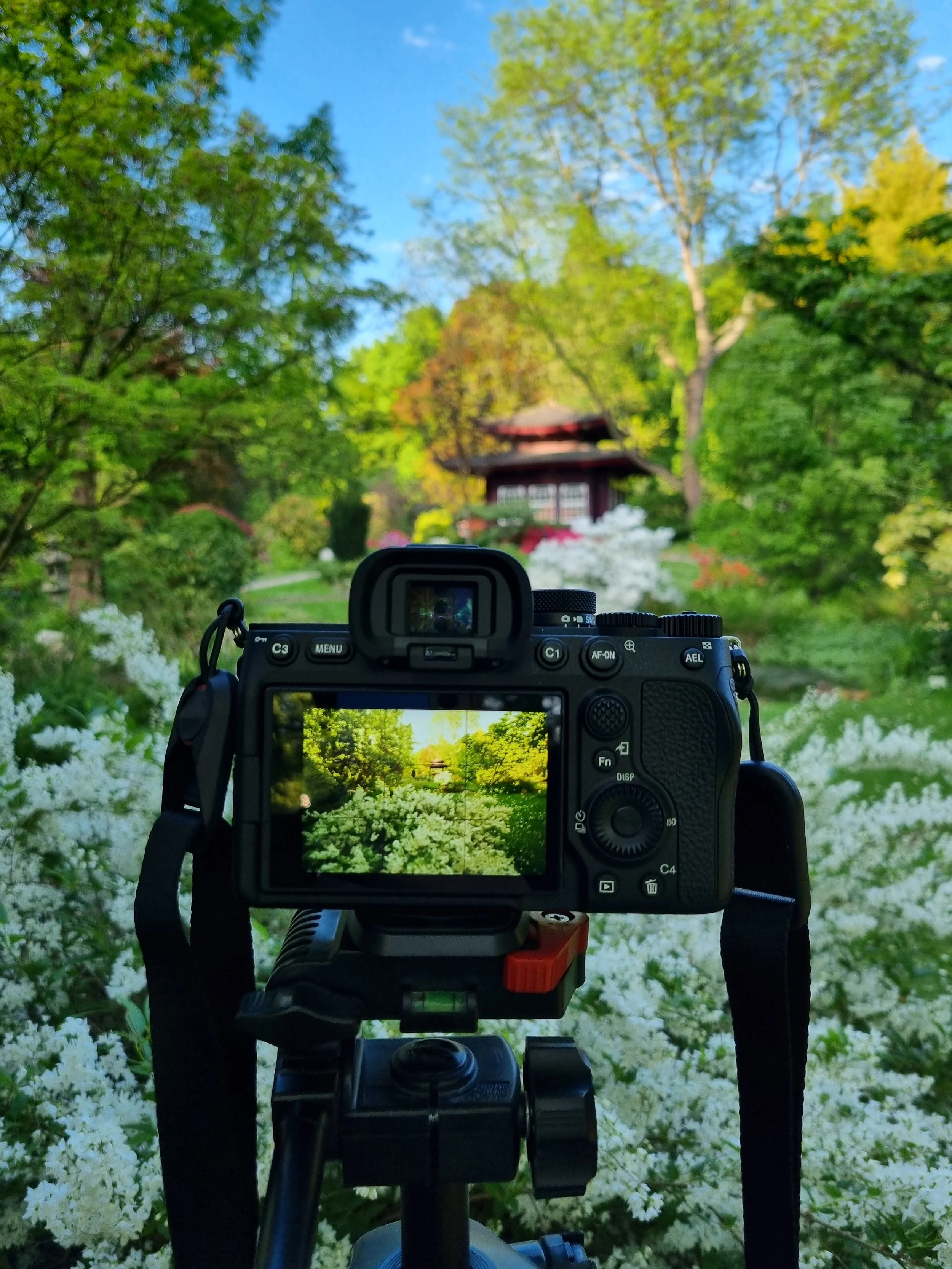Professionelle Kamera auf Stativ vorbereitet für die Hochzeitsfotografie vor Beginn der Zeremonie