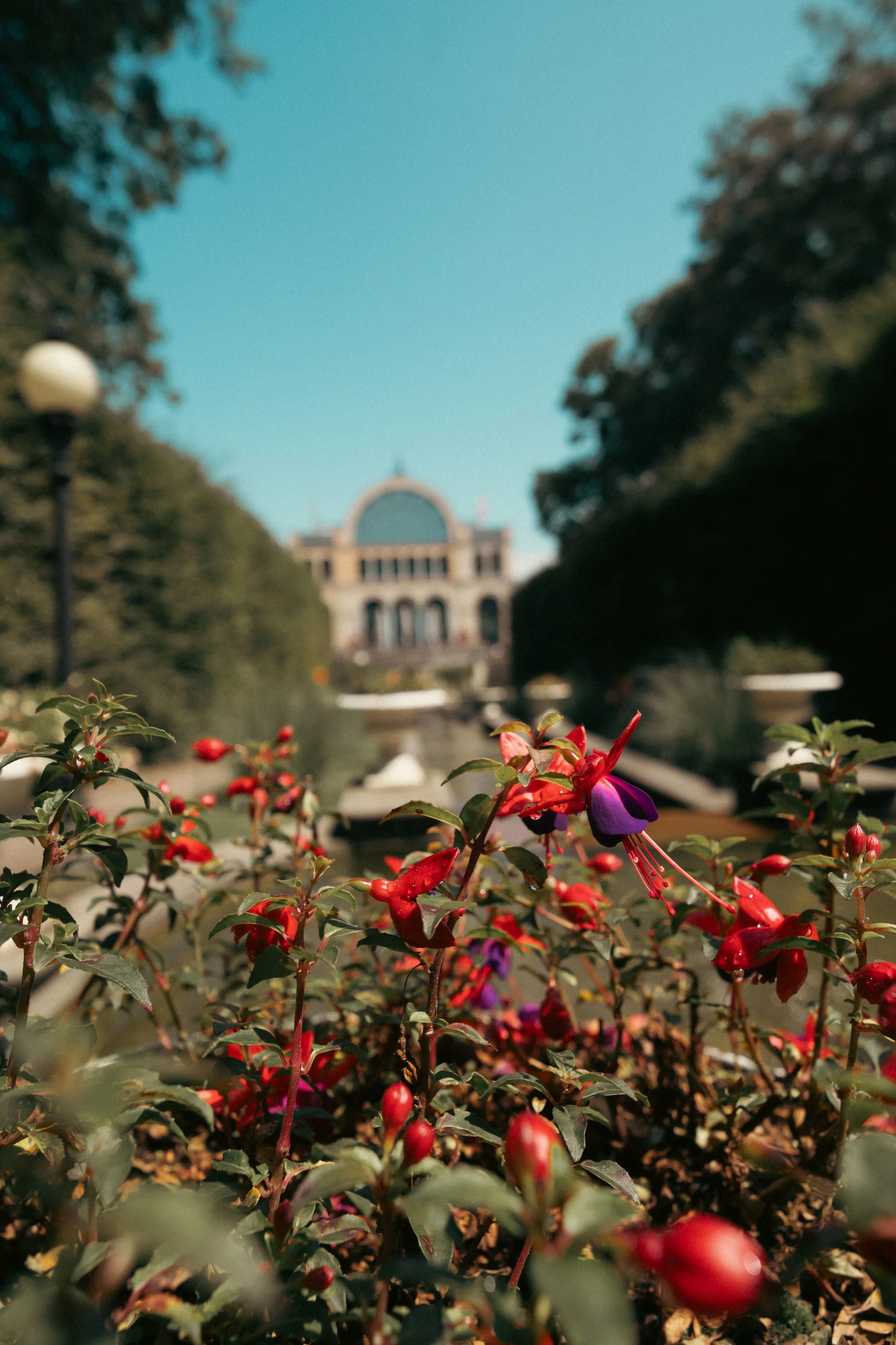 Braut und Bräutigam im Botanischen Garten Köln – Hochzeitsfotografie in Köln