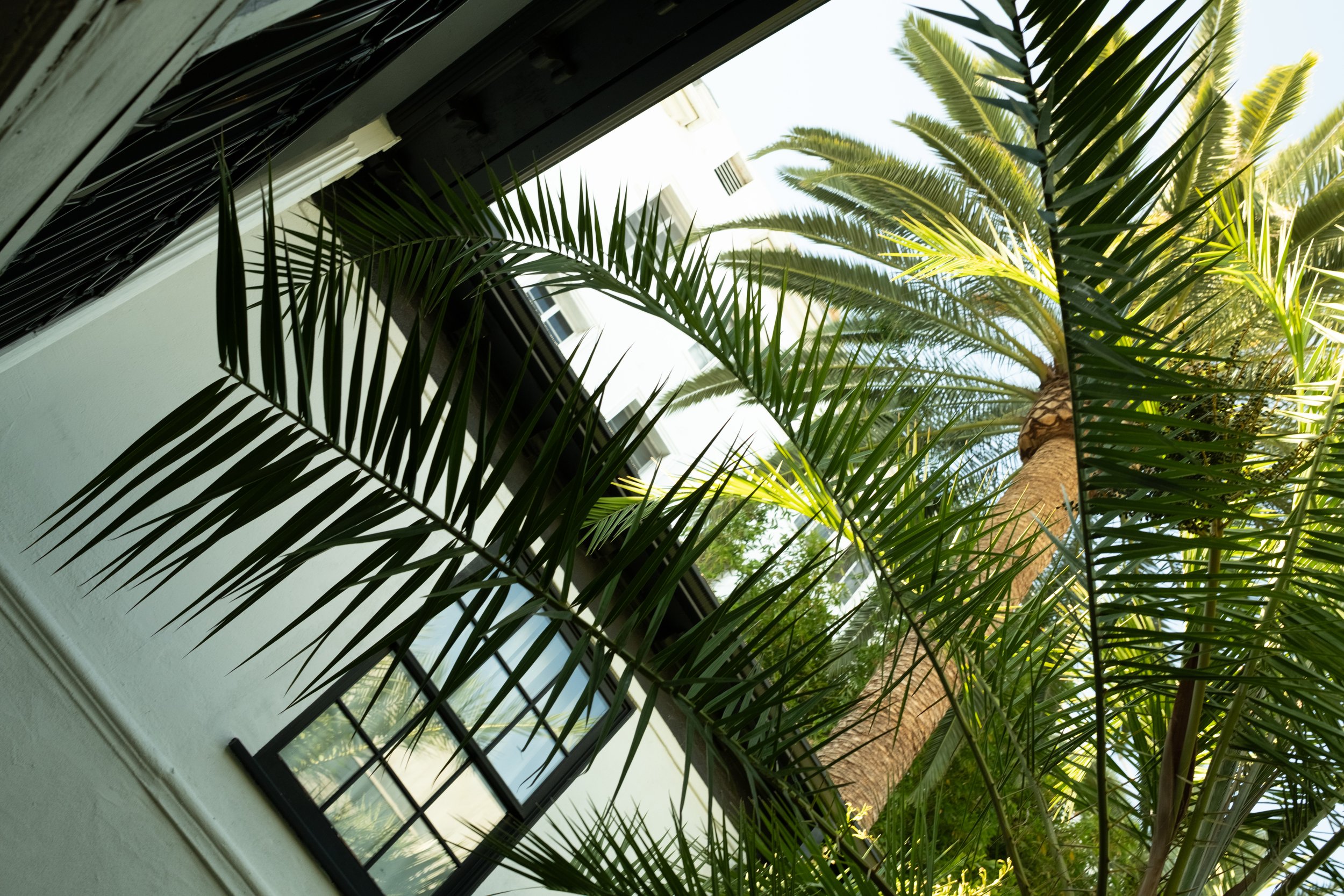 36 Hours in Hollywood: An Ode to LA for Creatives