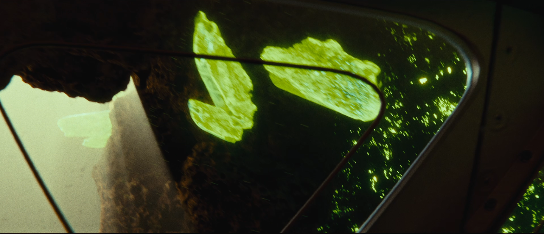 Close-up of a frog reflected in a rain-speckled vehicle window