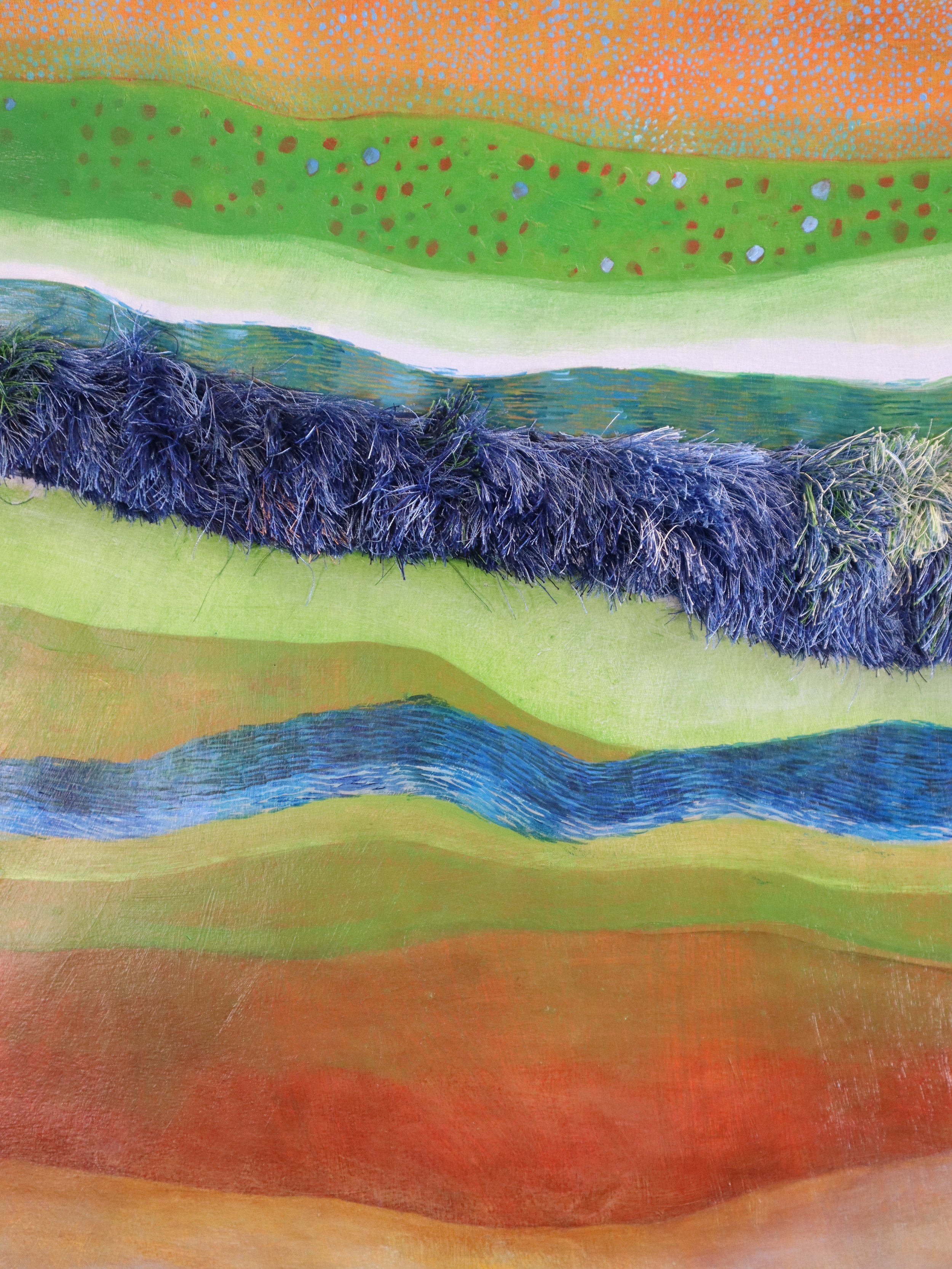 Colorado River Restoration