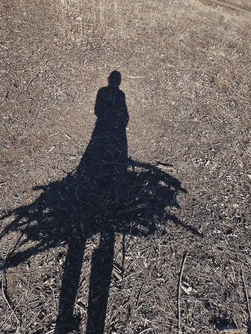 shadow-carrying-sticks-theresa-clowes.jpg