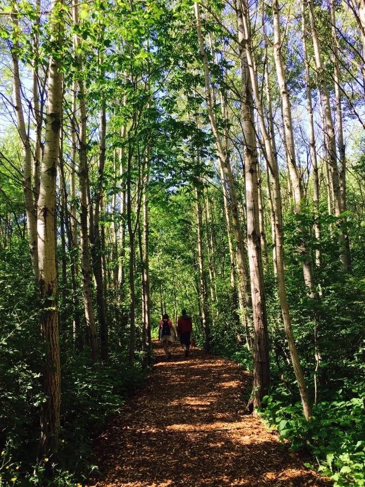 Two people walking along a dirt trail through a green forest with tall trees and dappled sunlight.