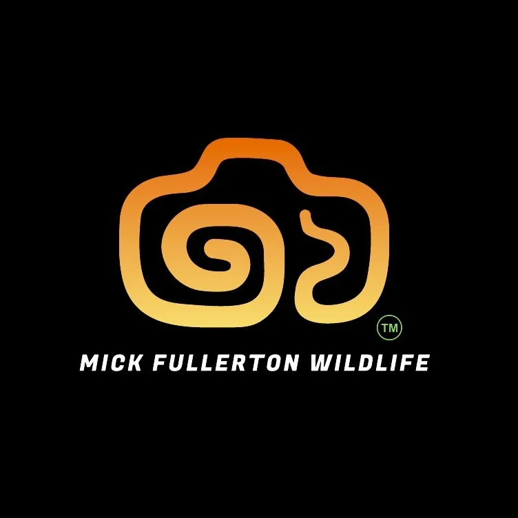 Mick Fullerton Wildlife Photography 