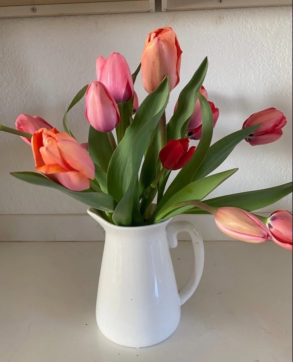 Tulips