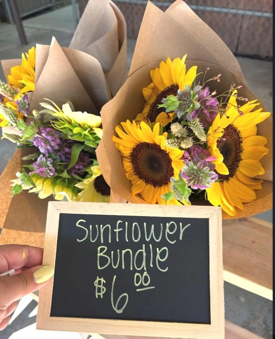 Sunflower Bundle