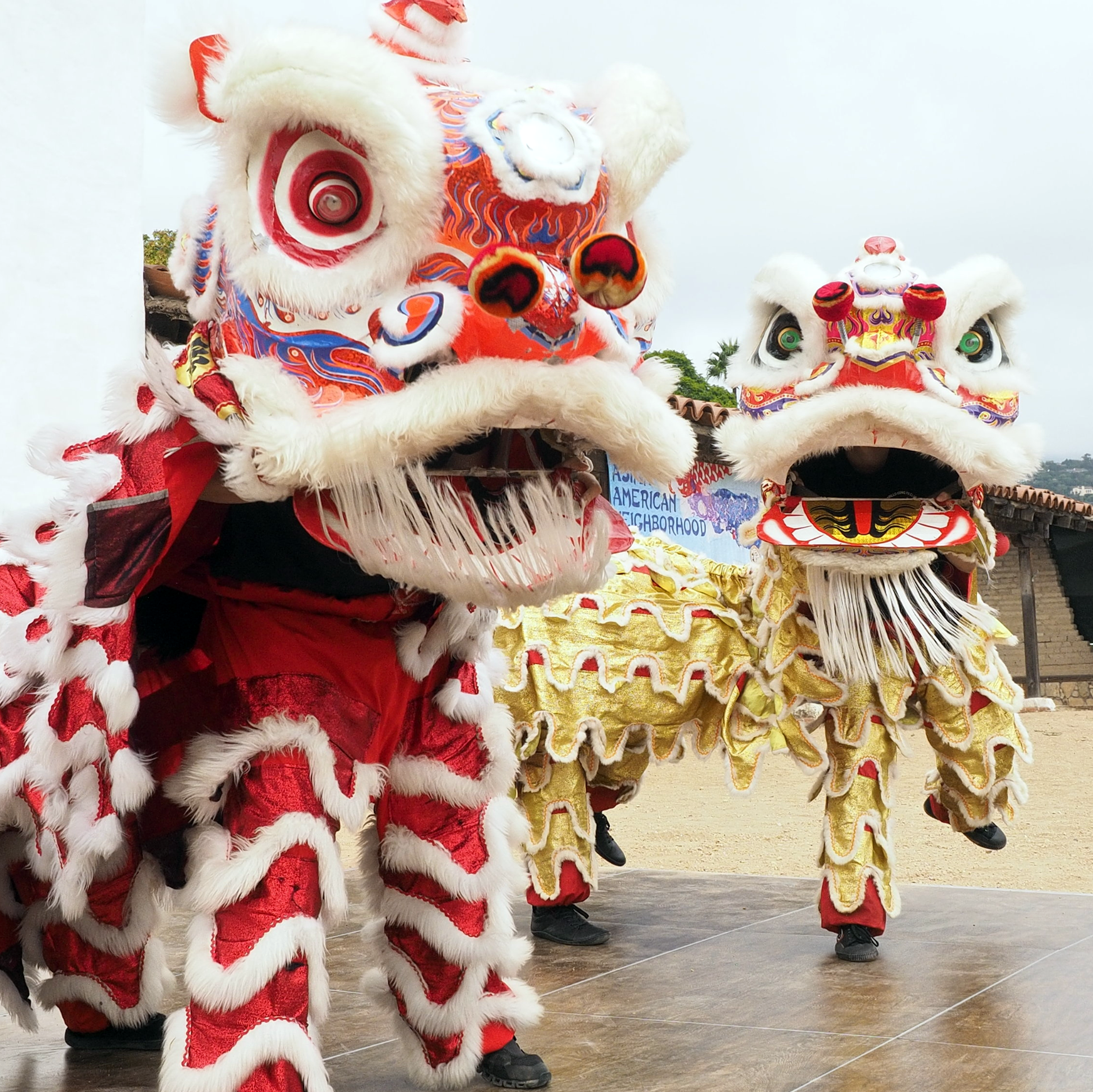 Chinese dragons