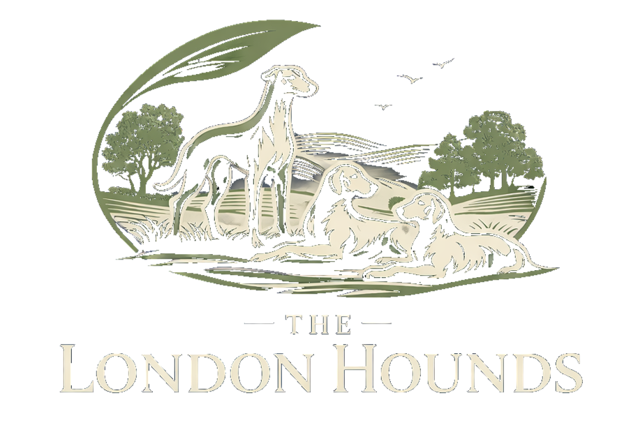 Illustration of three hounds near a lake with trees, with flying birds in the sky and the text "The London Hounds" below.