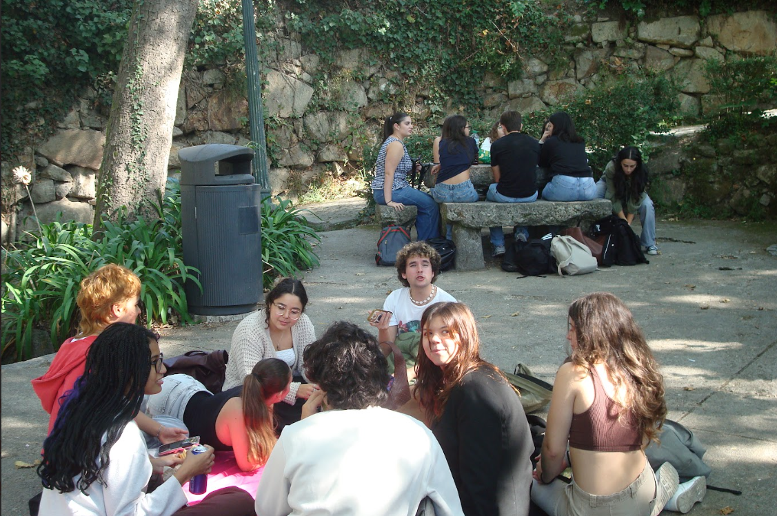 Grupo de jovens conversando em um parque, alguns sentados em uma pedra e outros no chão, com árvores, vegetação e uma lixeira ao fundo.